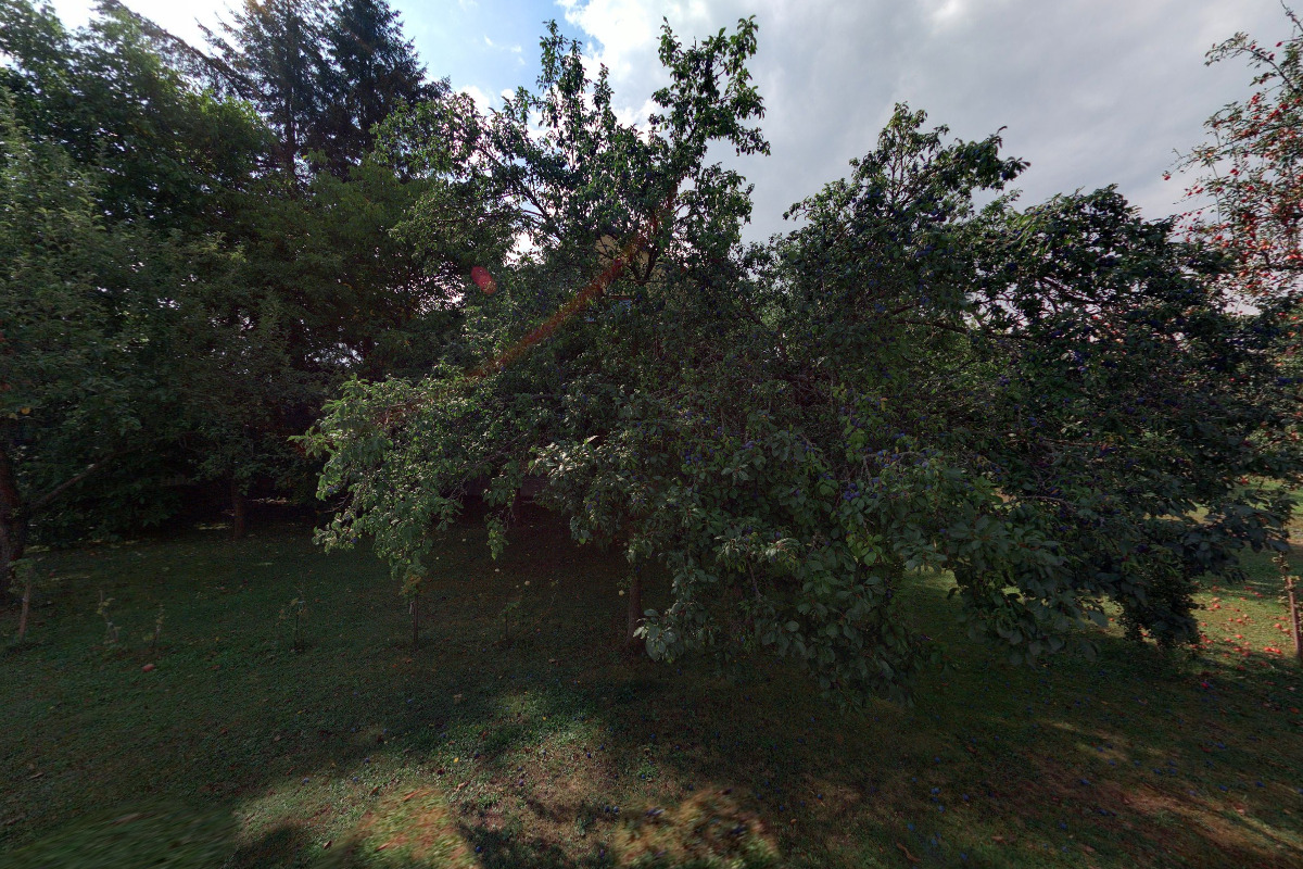 Občanské sdružení za zdravé město bez kamionů