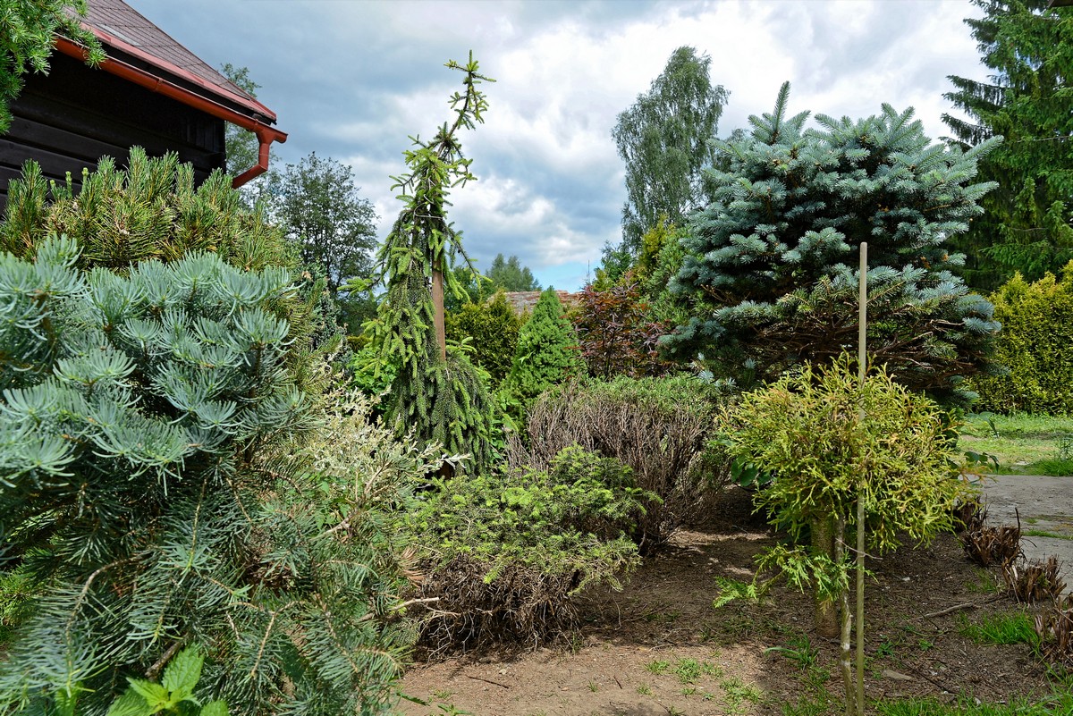 Údržba zeleně Trojan Zdeněk foto 2