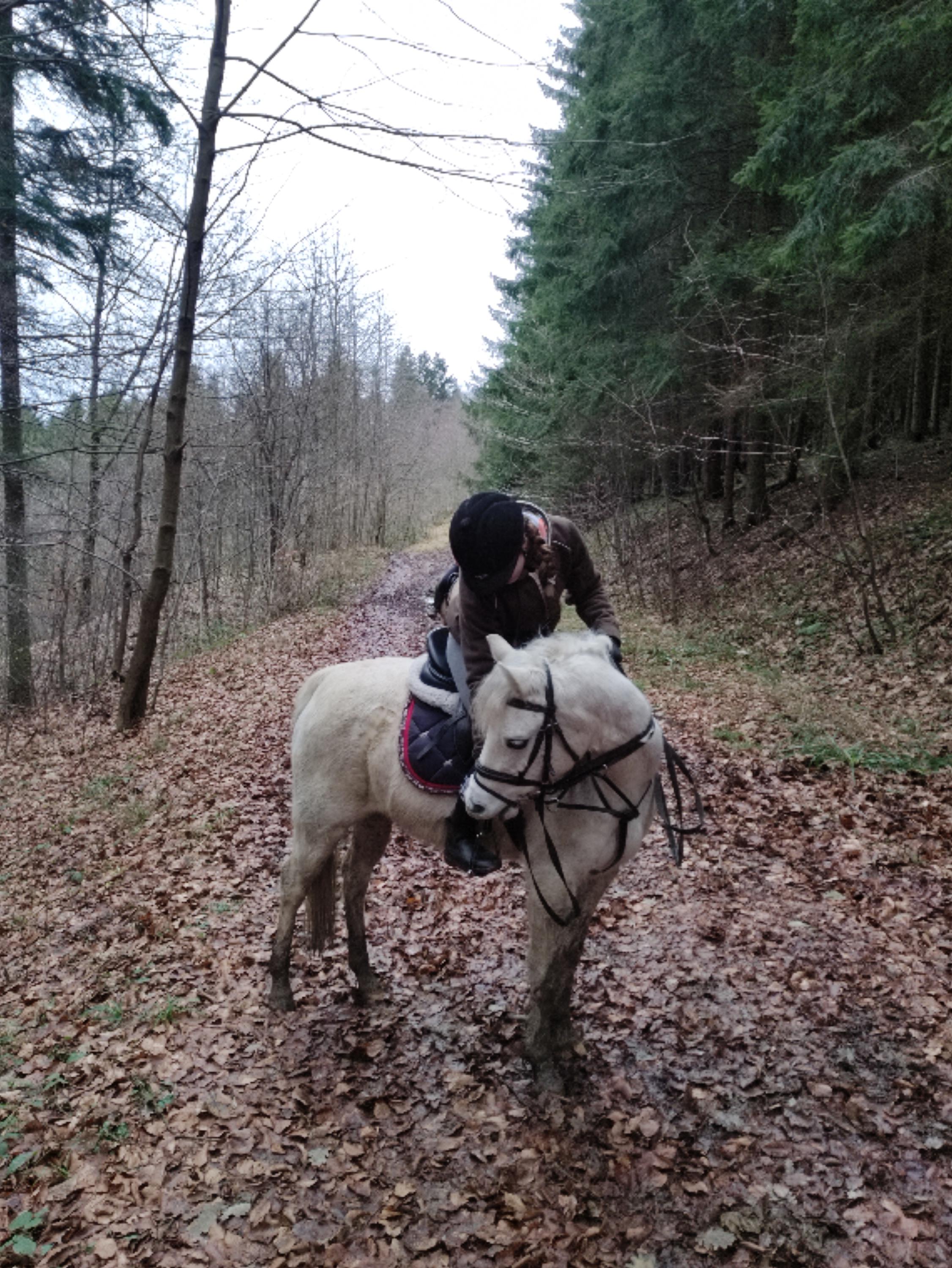 ATOS - jezdecká stáj z.s. foto 3
