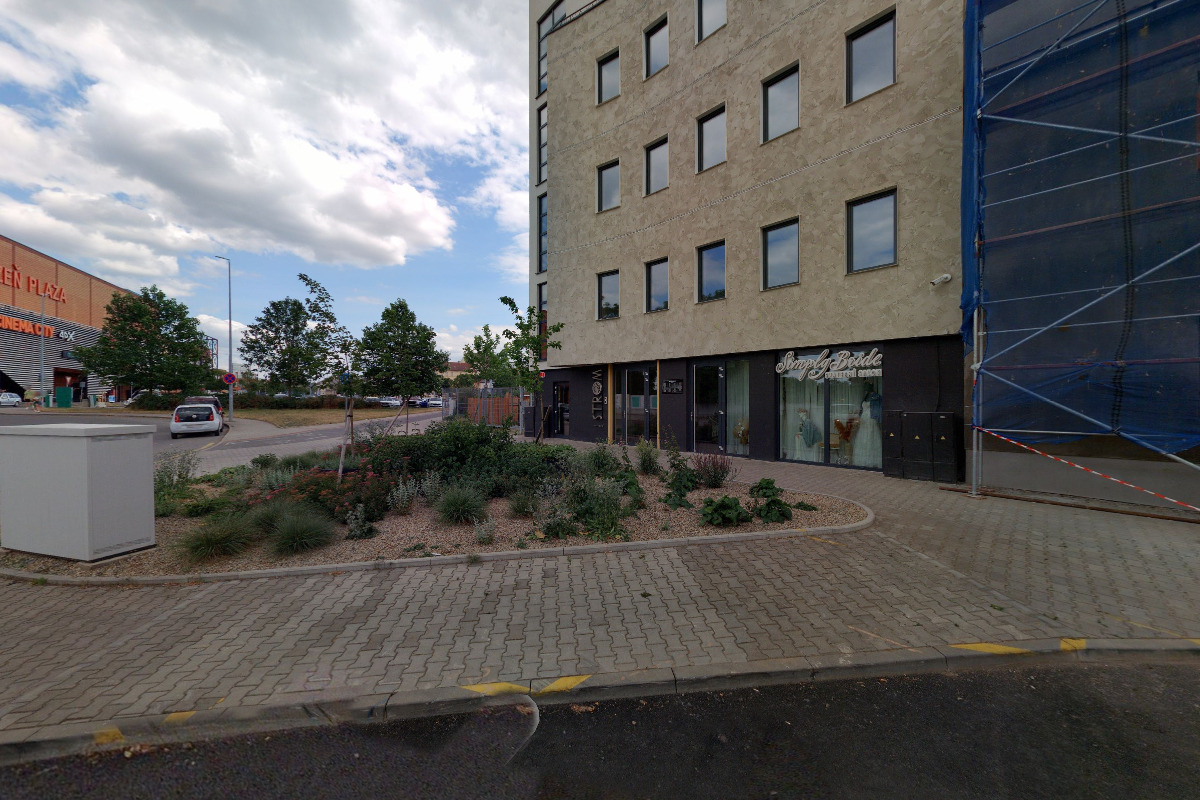 Šindelářová Václava