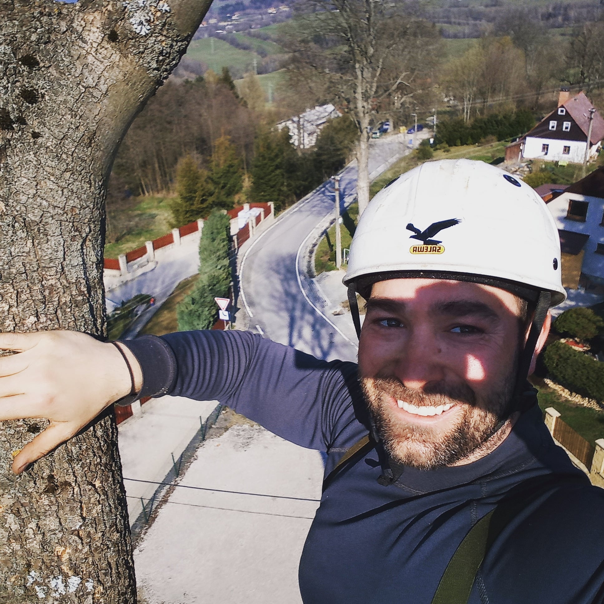 Rizikové kácení - Minkovič foto 2