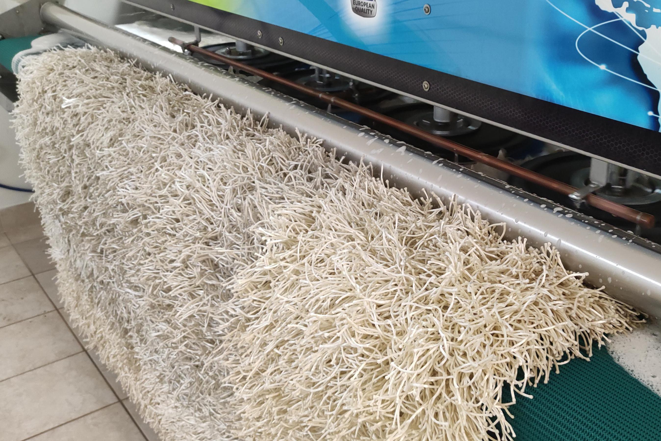 Pradelnakobercu.cz - profesionální čištění koberců Dušková