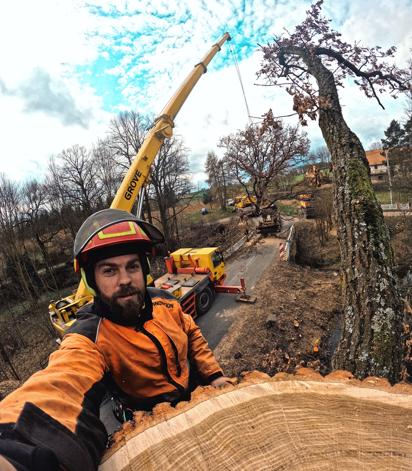 Rizikové kácení - Michal Ženíšek foto 4