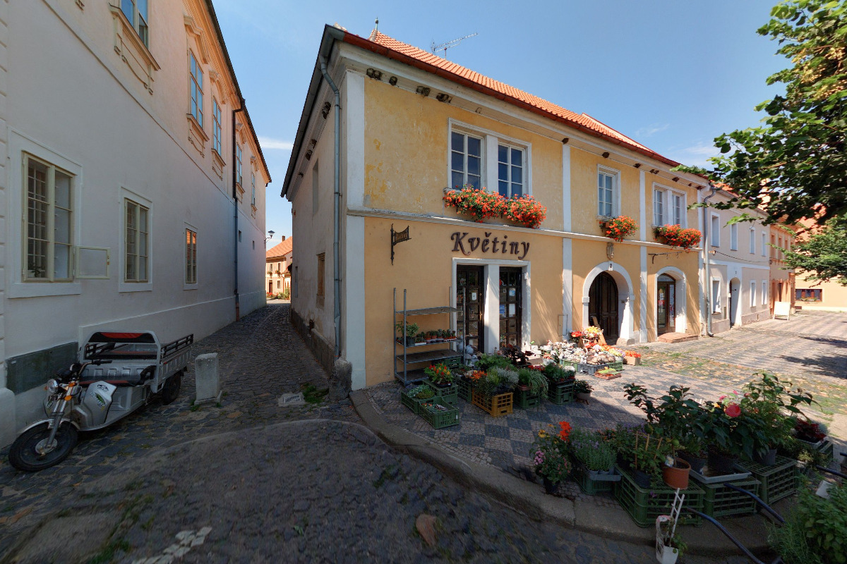 Květiny - Anna Linhartová Říhová