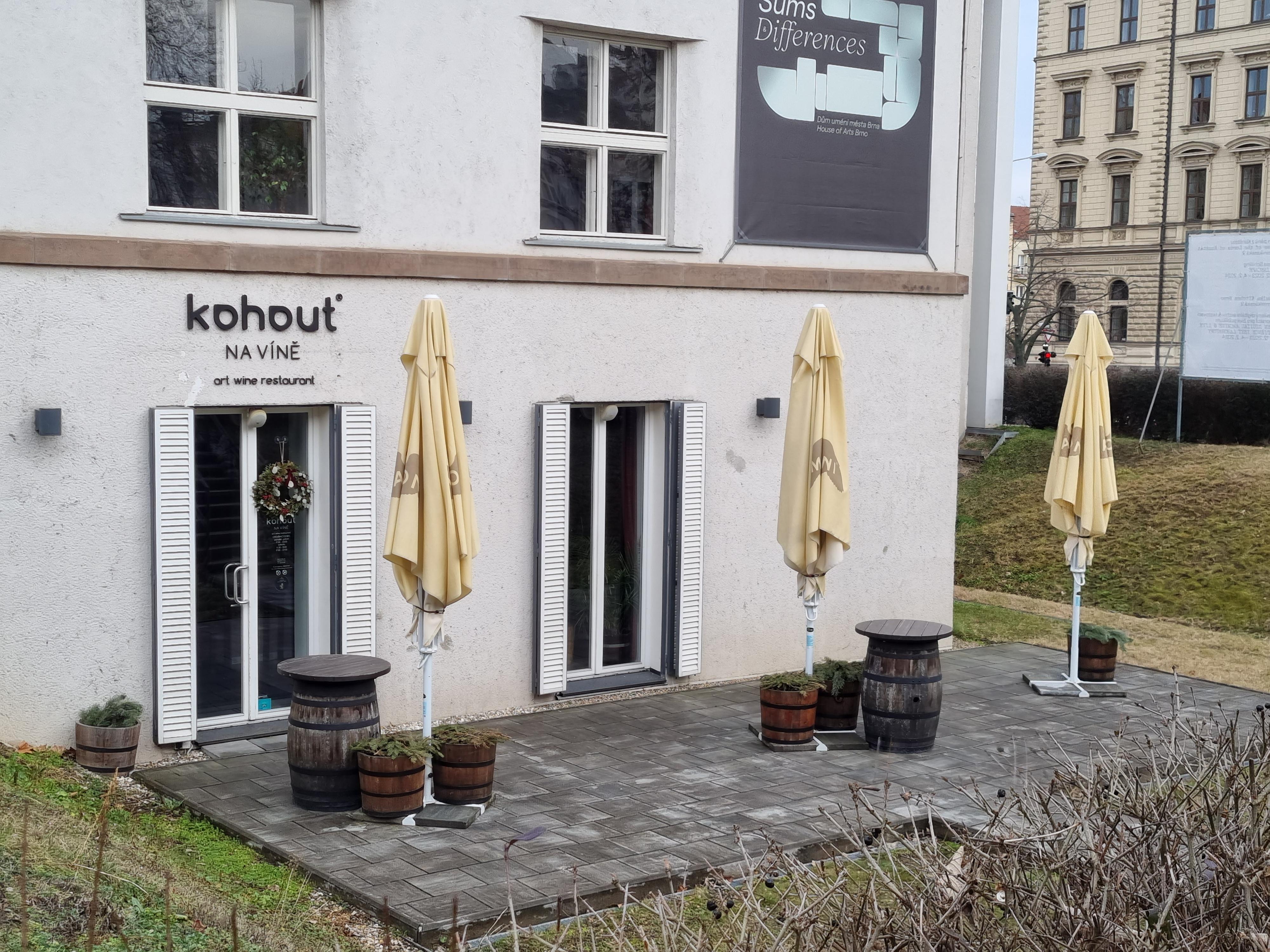 Kohout NA VÍNĚ foto 3