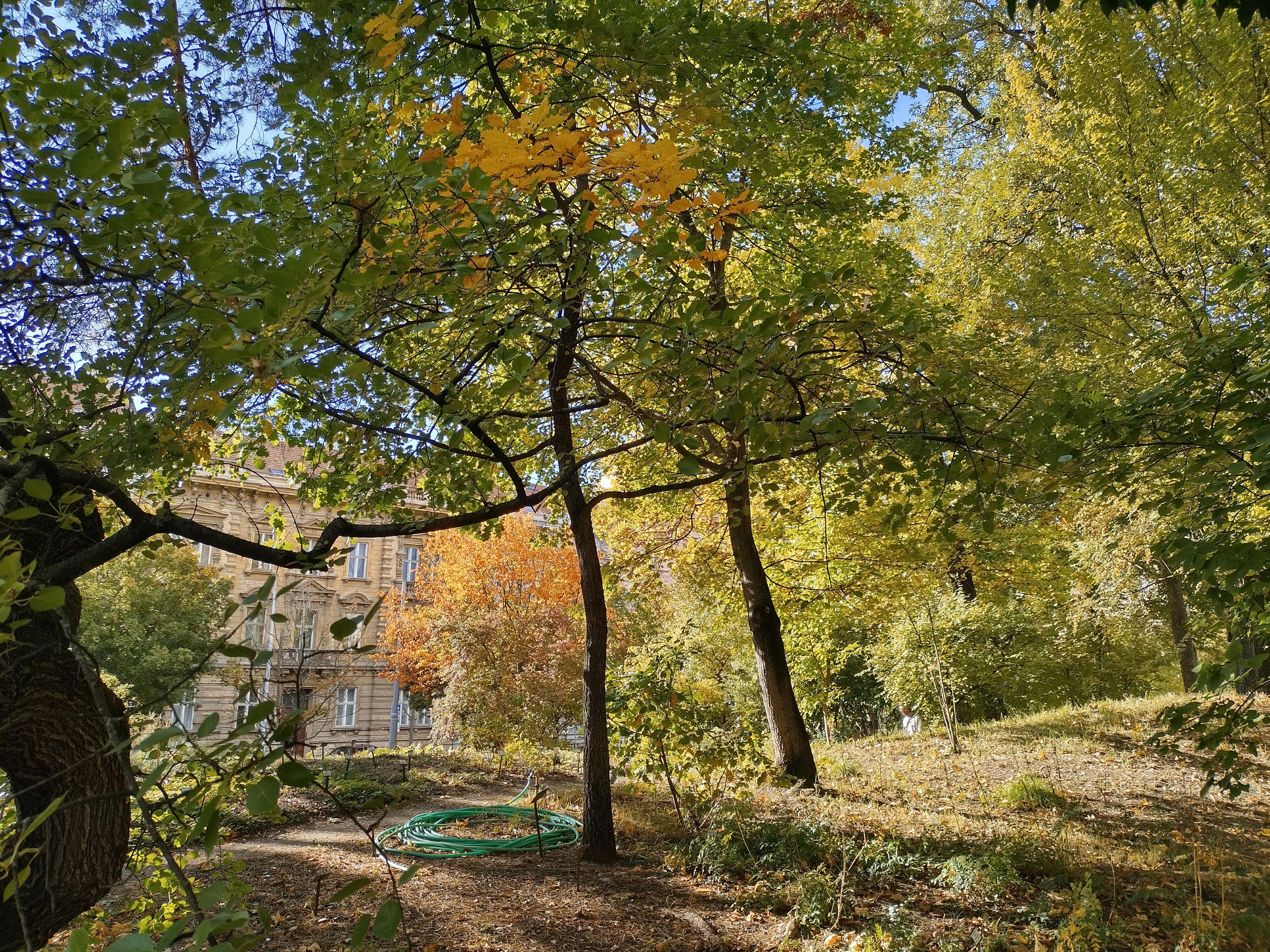 Botanická zahrada Přírodovědecké fakulty Masarykovy univerzity foto 6