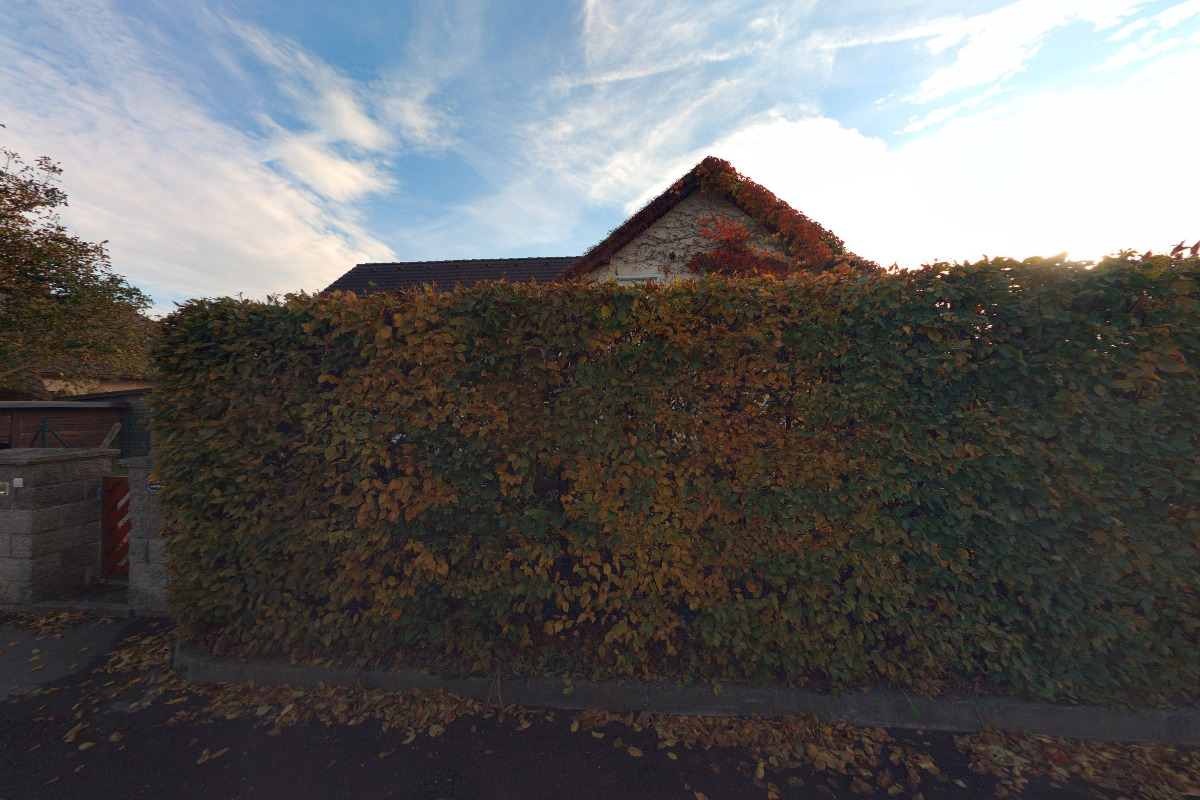 Daňový poradce ev. č. 2972 Ing. Lubomír Král