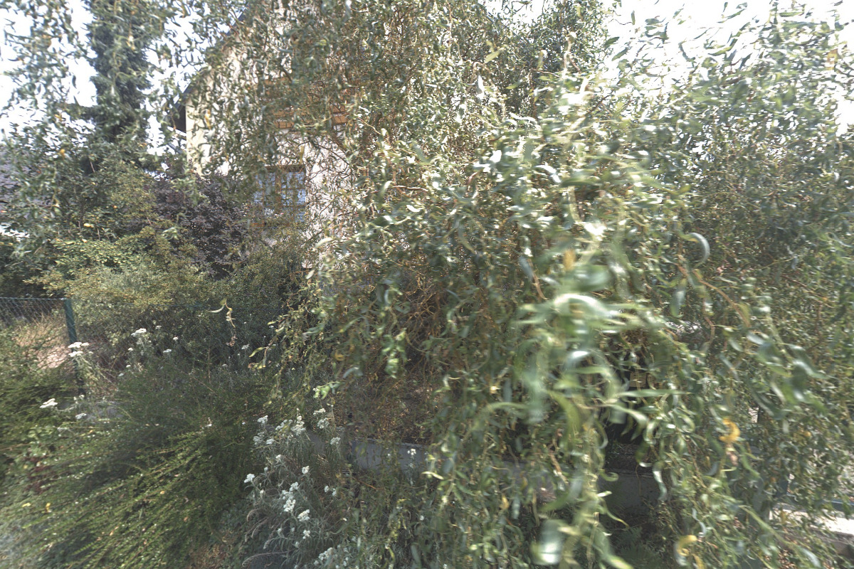 Mgr. Martin Juránek