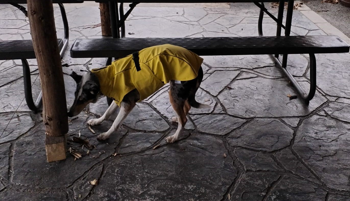 Czechnosework K+R+P z.s. foto 5