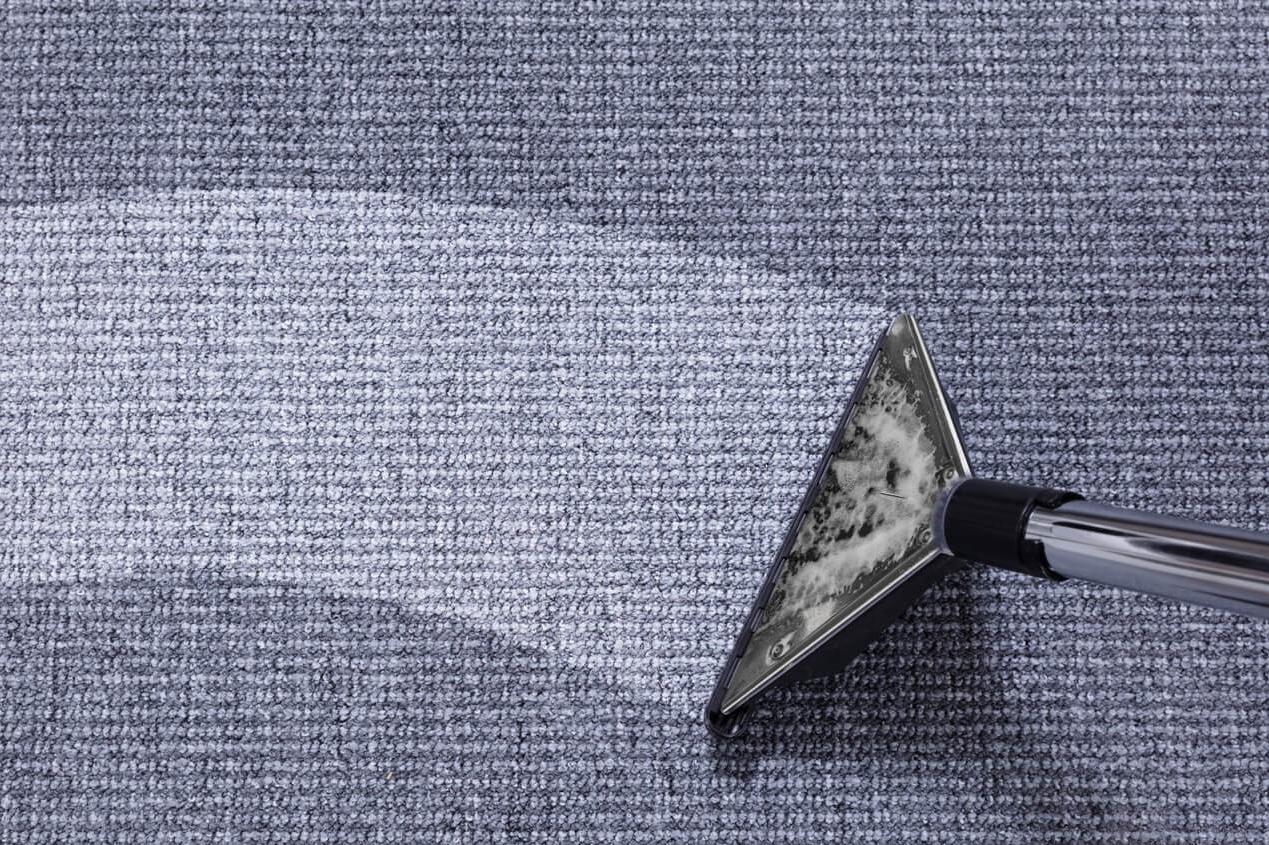 Čištění koberců František Šín