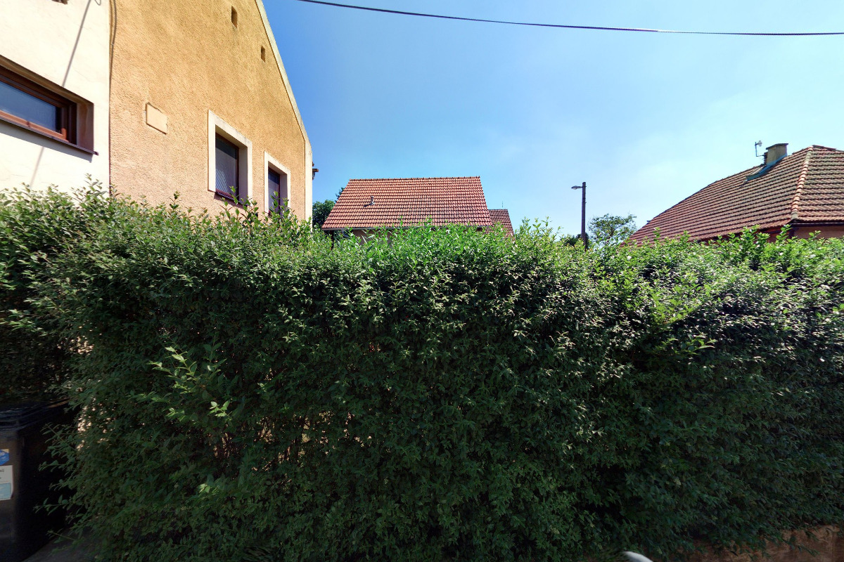 Michaela Kašparová