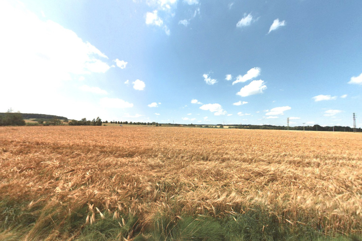 Jahodárna Vránov u Staňkova foto 3