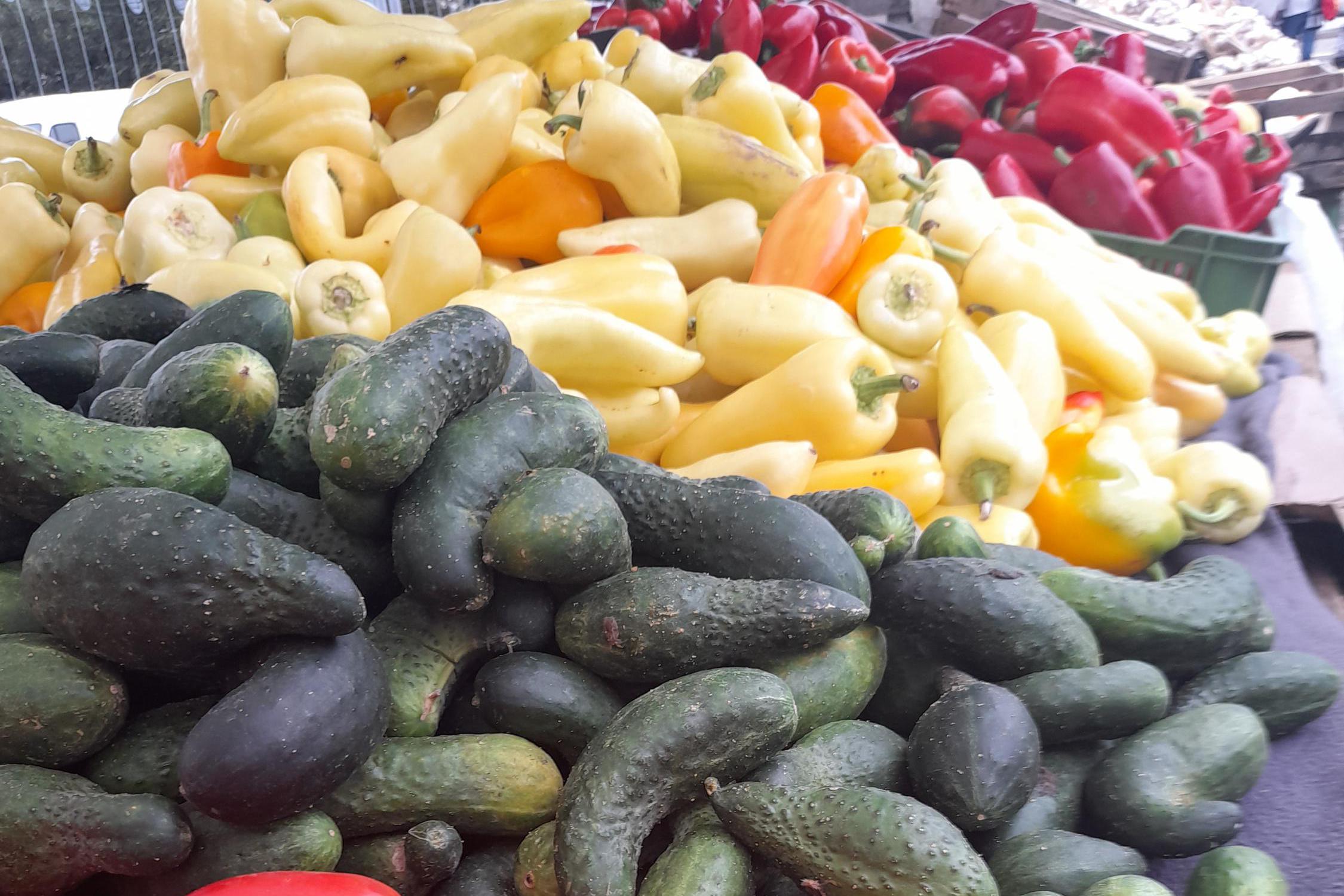 Potravinová banka ve Zlínském kraji