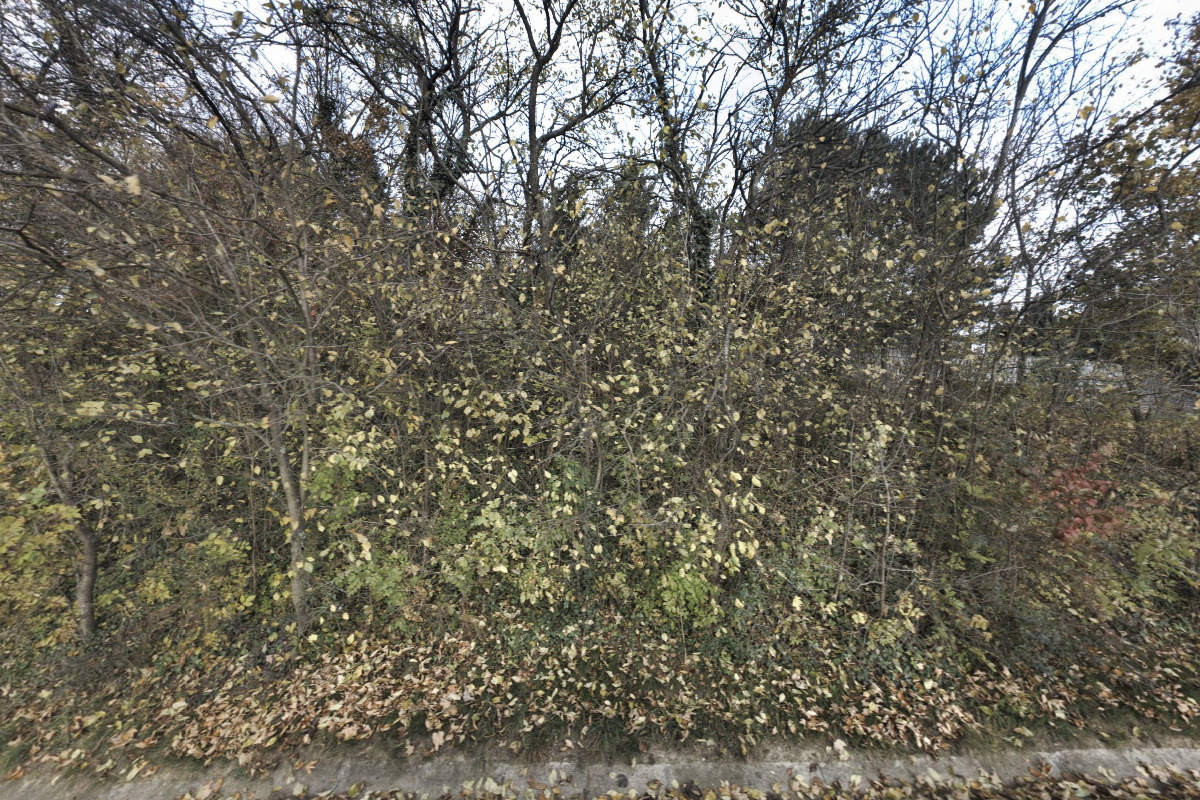 Obřadní síň Ždánice foto 5