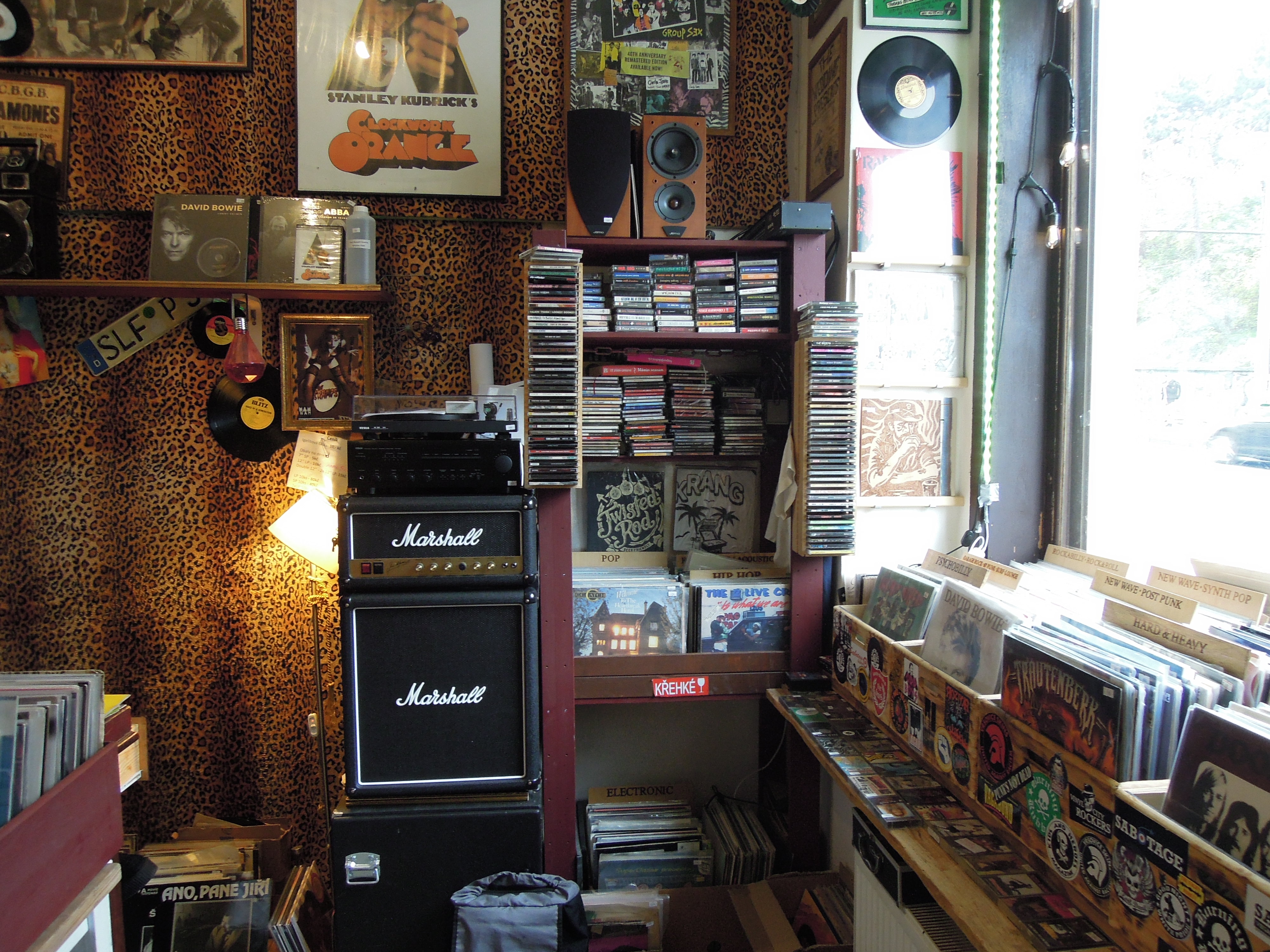 Vinyl City Rockers foto 2