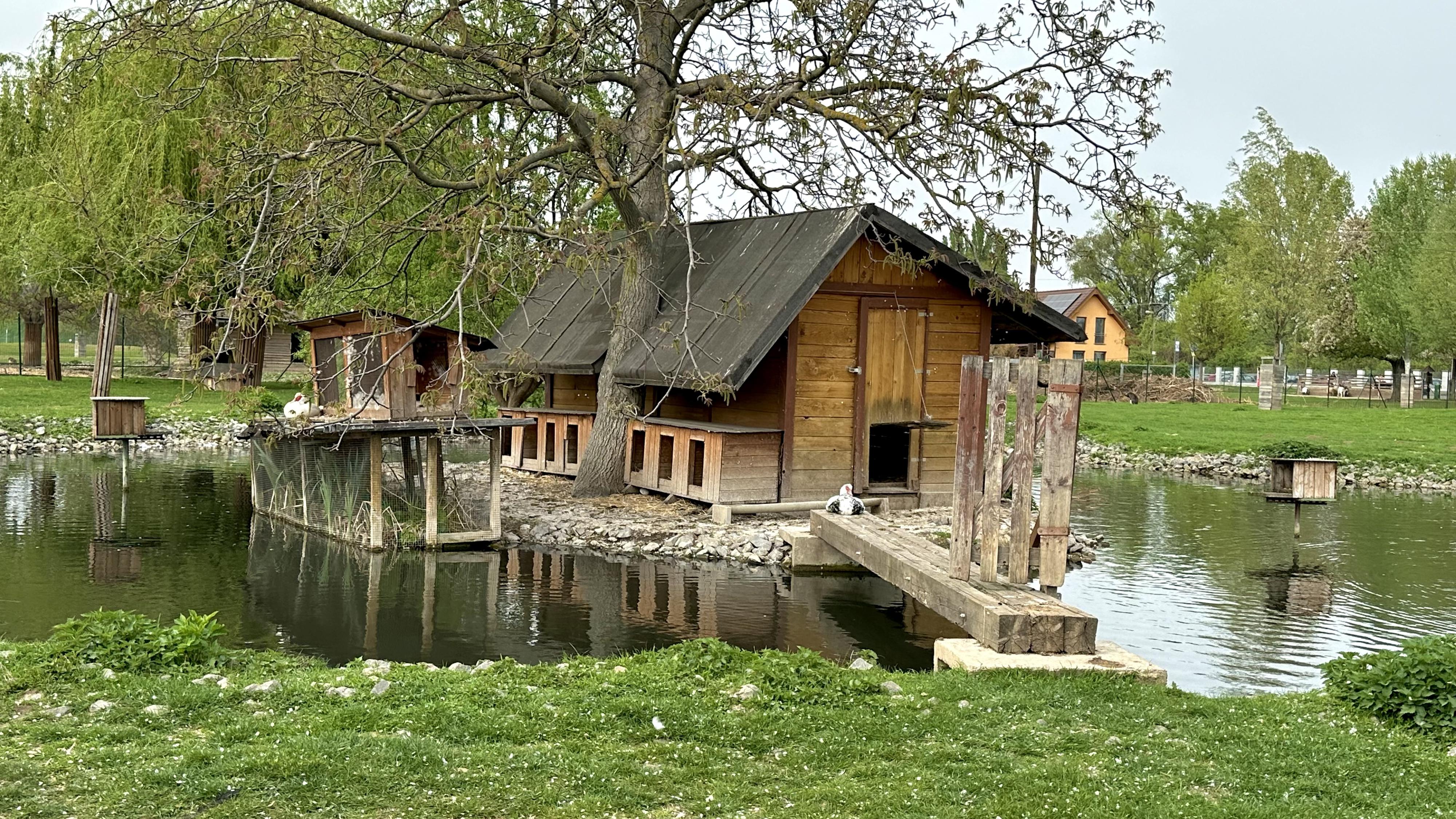 Jižanský dvorek foto 2