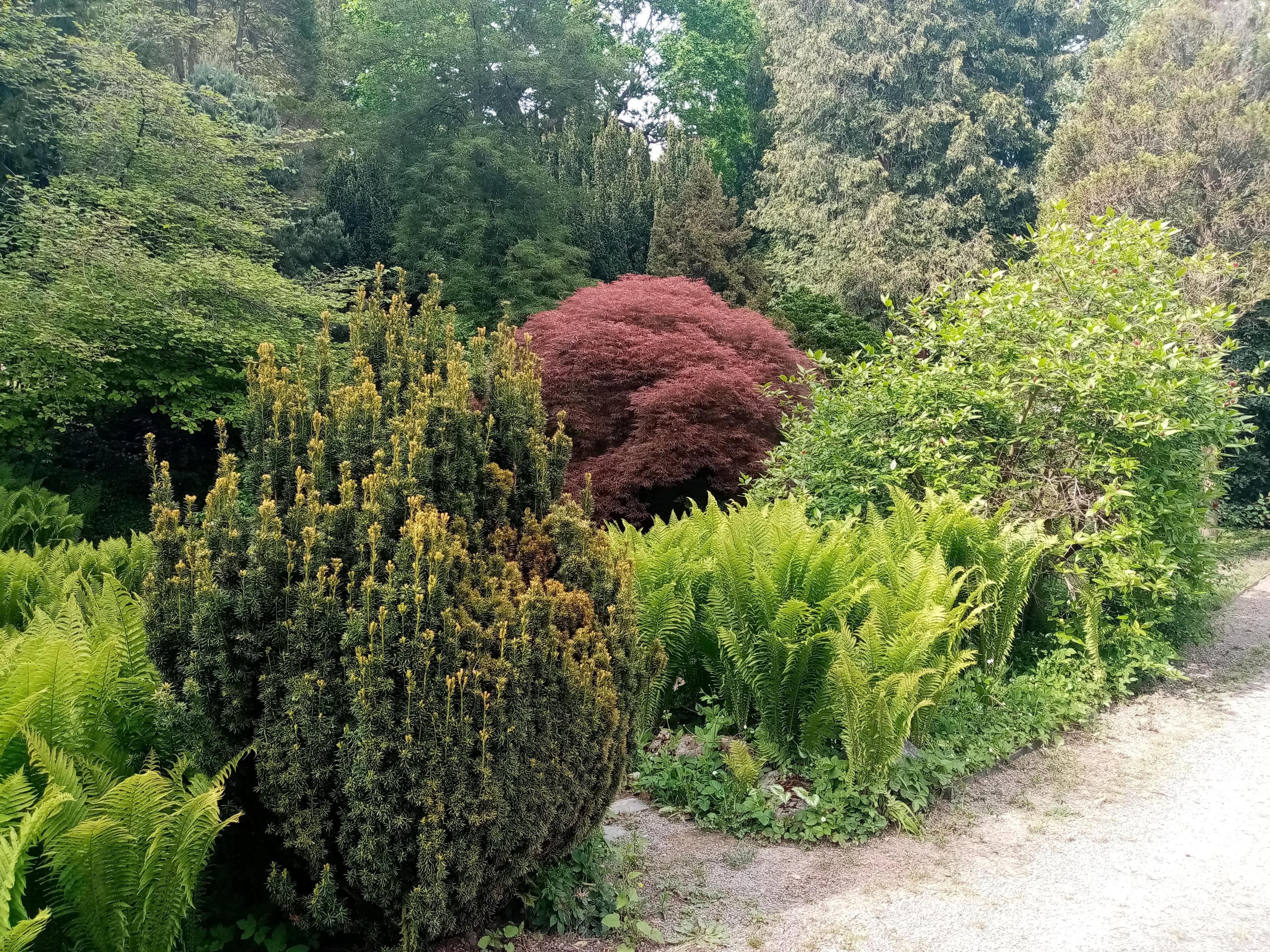 Arboretum Bílá Lhota foto 5