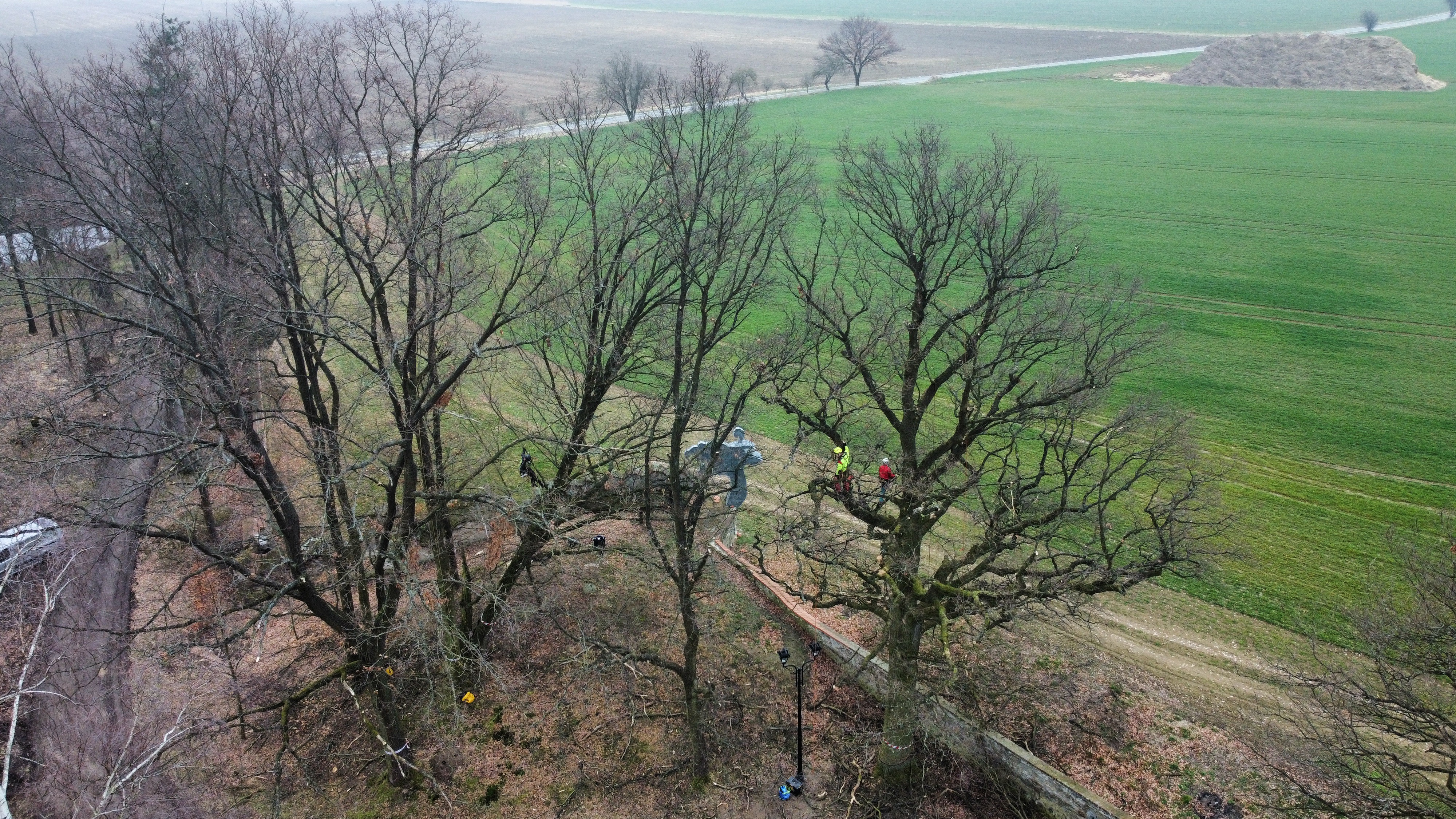 Arboristika - Ing. Uchytil Vojtěch foto 2