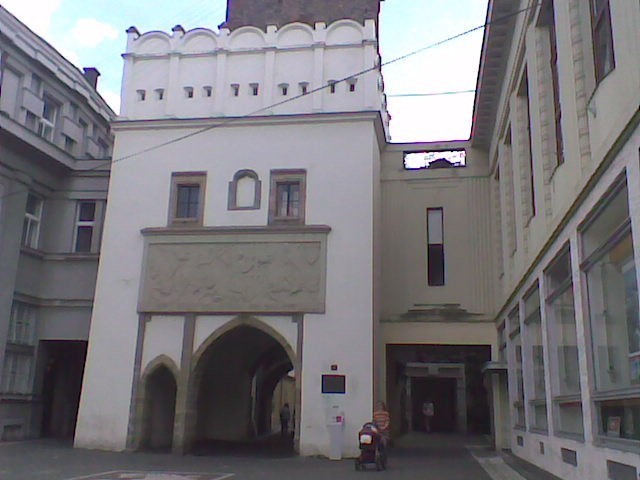 Zelená brána foto 3