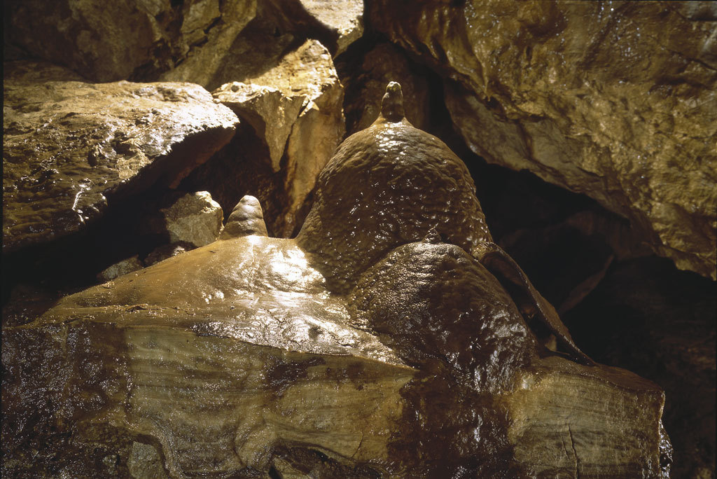 Bozkovské dolomitové jeskyně foto 4