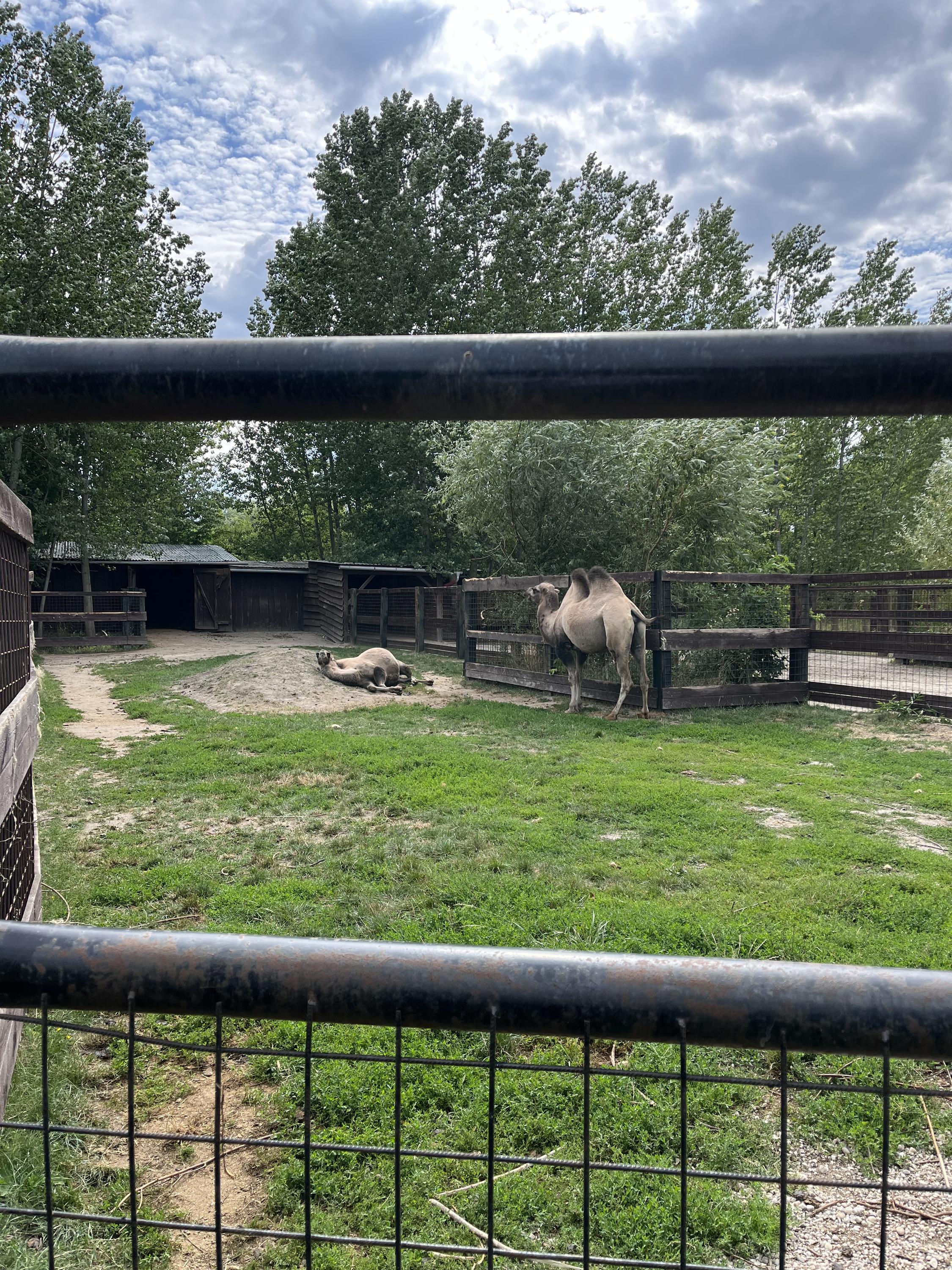Zoo Sedlec foto 6