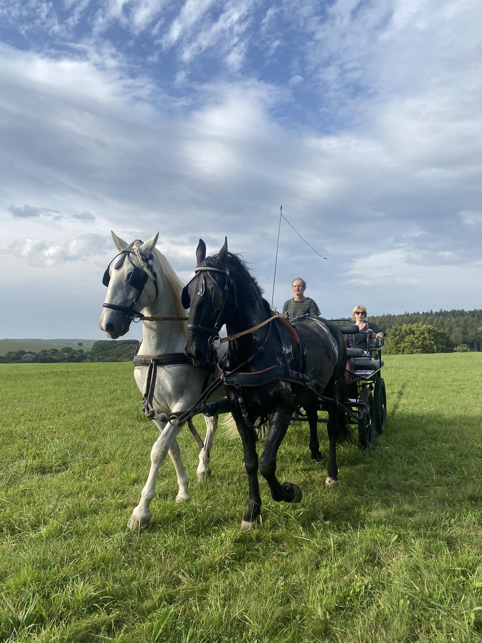 Jezdecký klub Luhaturf foto 2