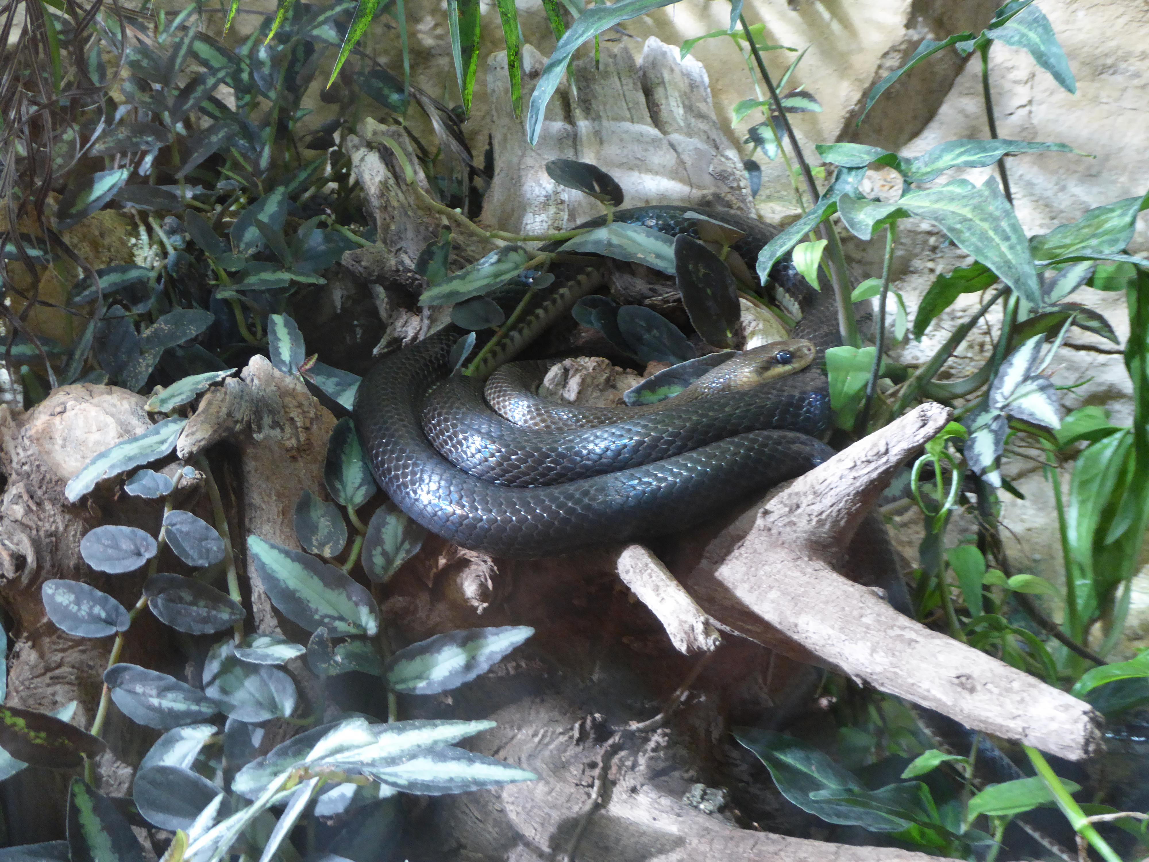 ZOO PARK Vyškov foto 4