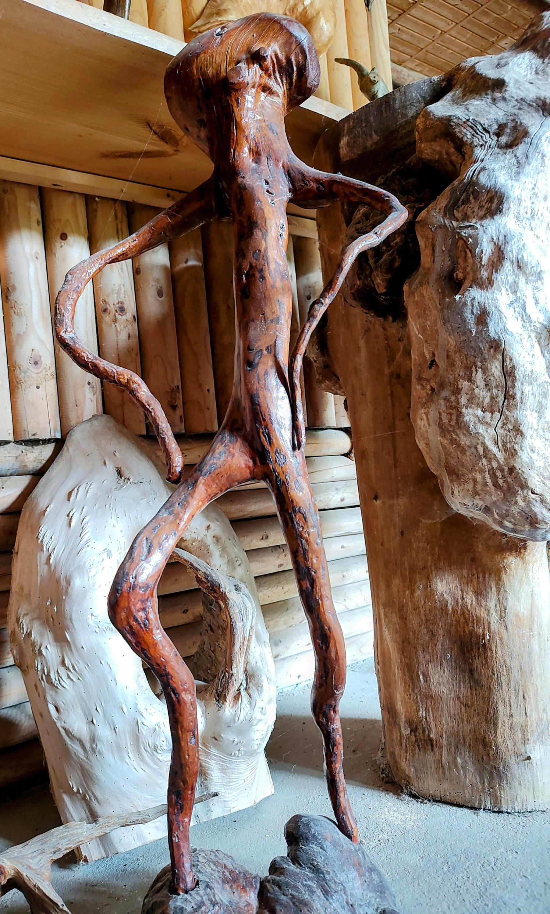 Muzeum samorostů foto 2