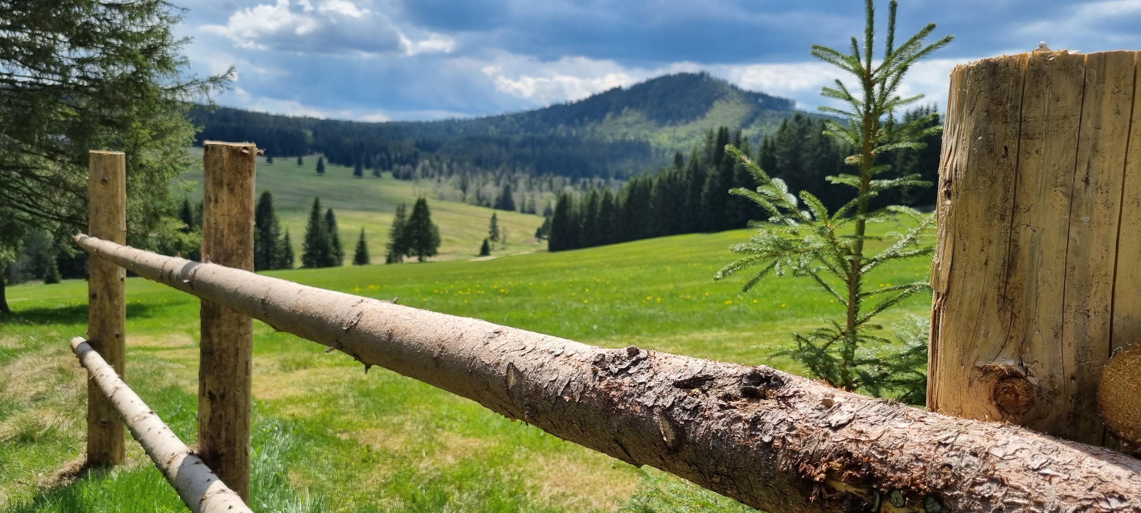 Pension Helena Honesová foto 2