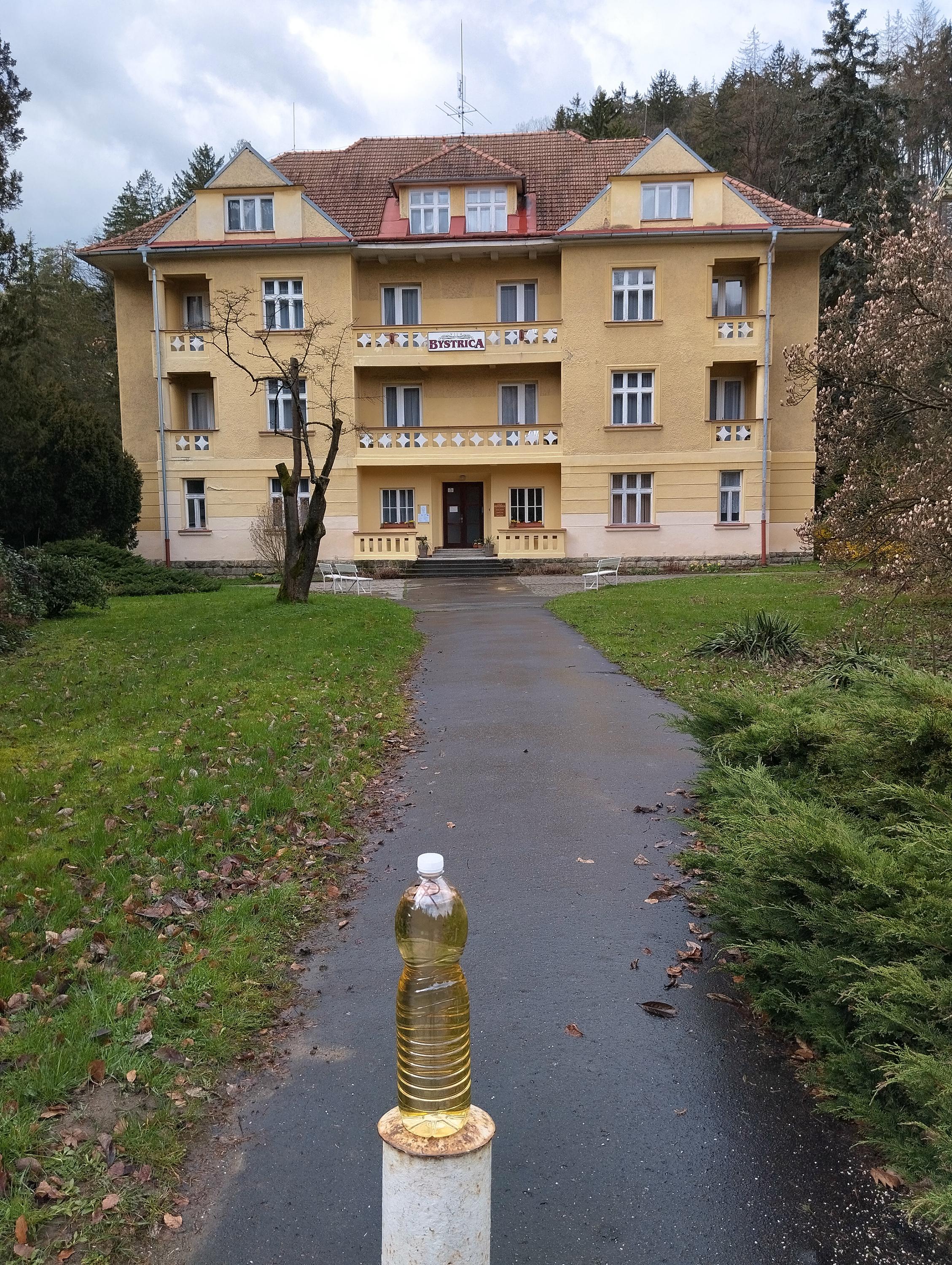 Vila Bystrica foto 3