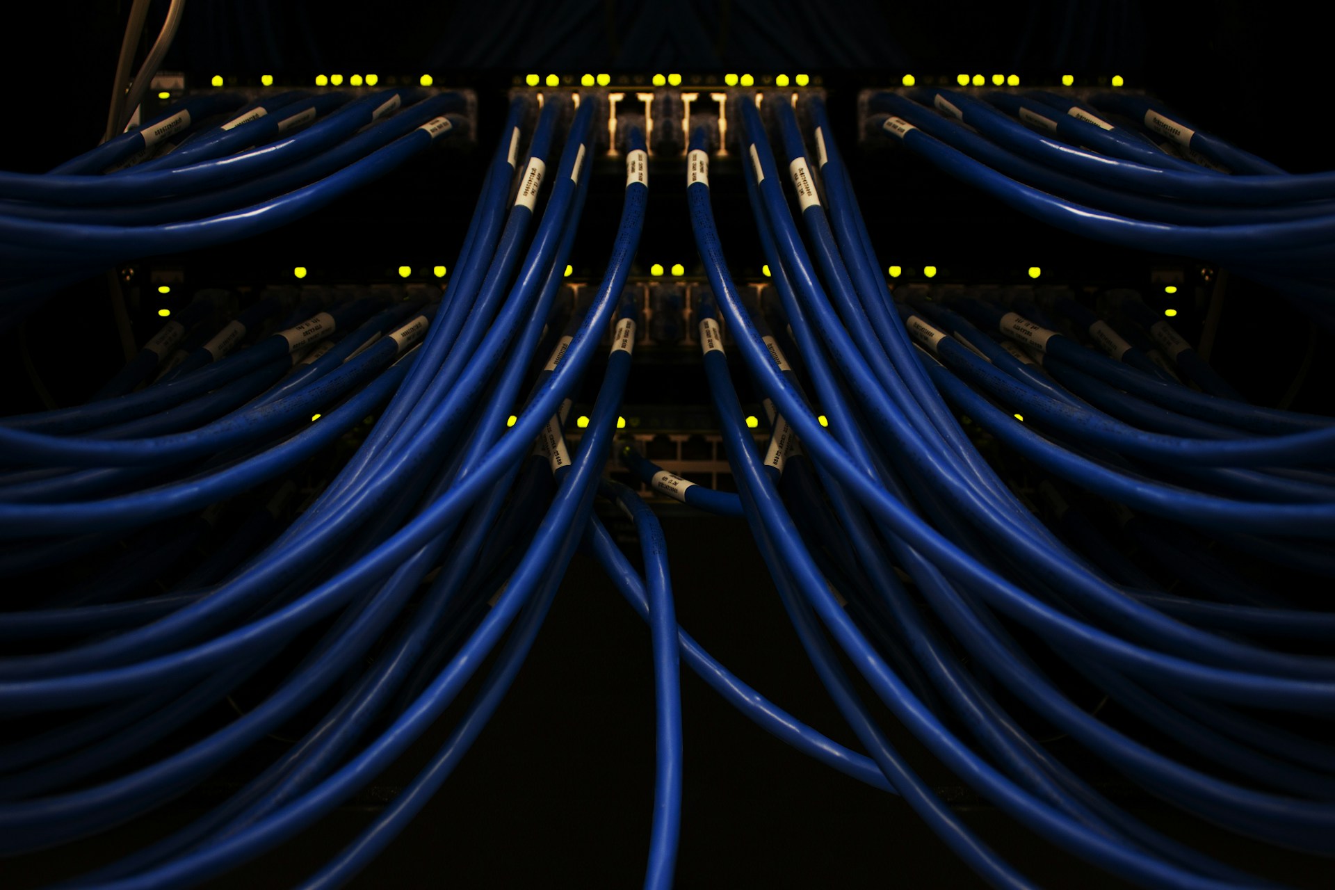 Nettex Software foto 4