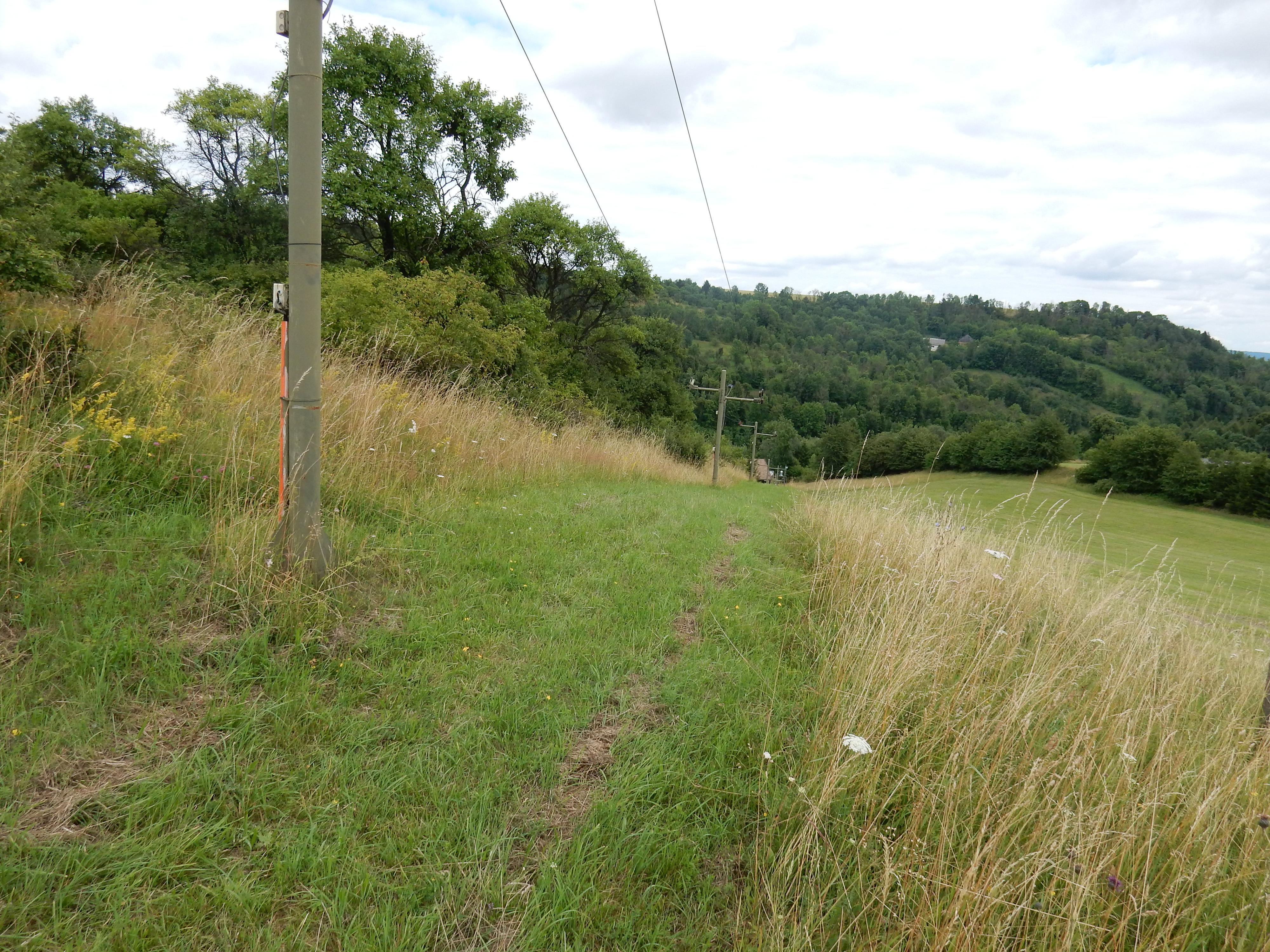 Sportovní klub Pastviny Radiměř