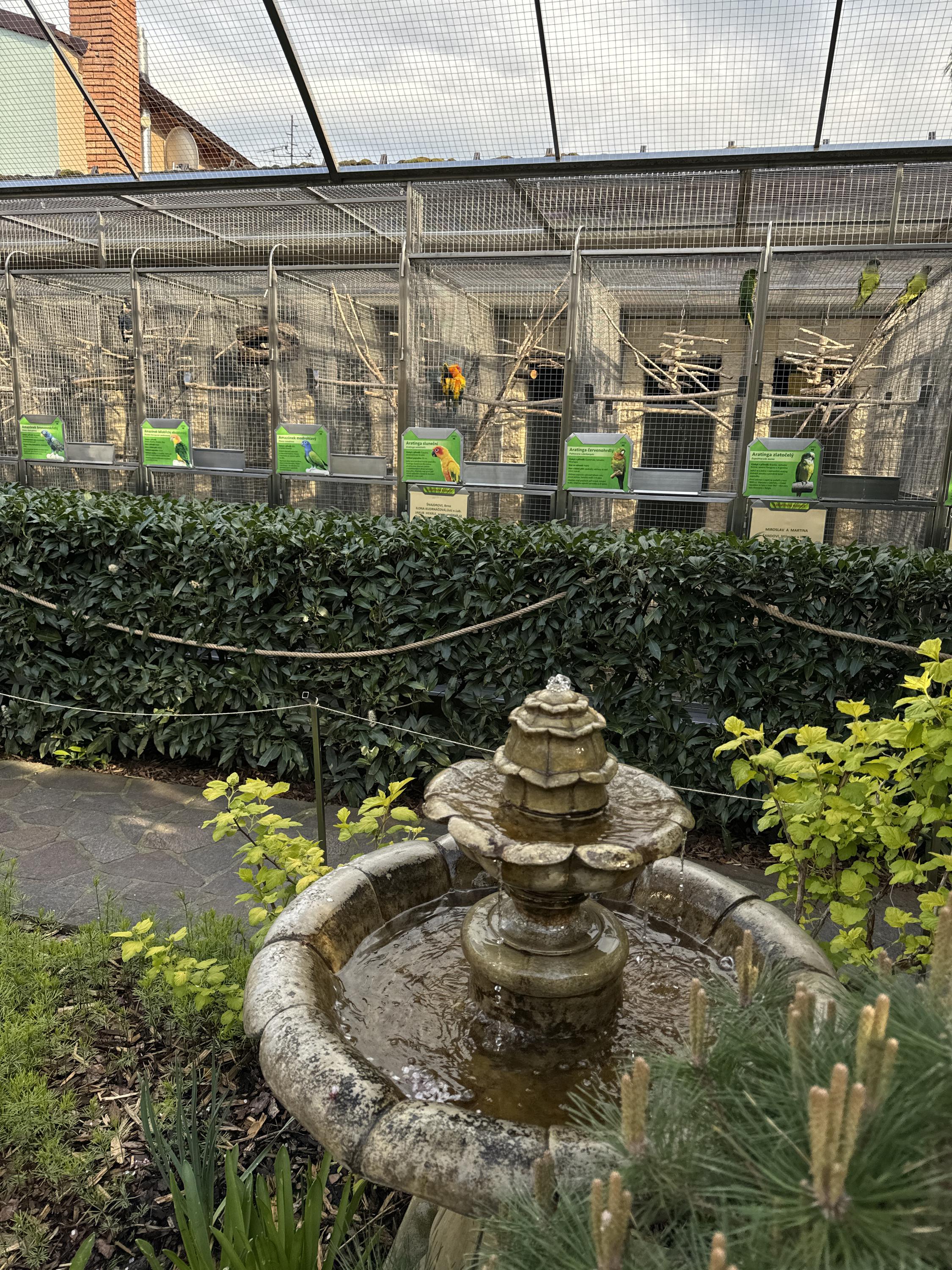 Papoušcí zoologická zahrada foto 6