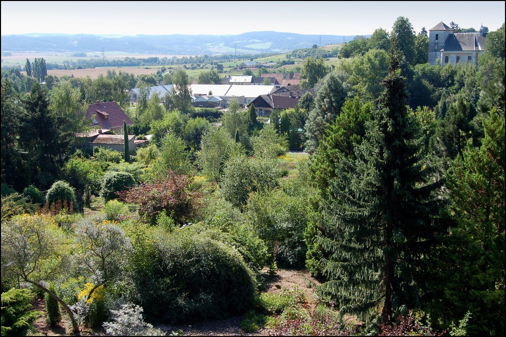 Arboretum - František Chlup foto 3