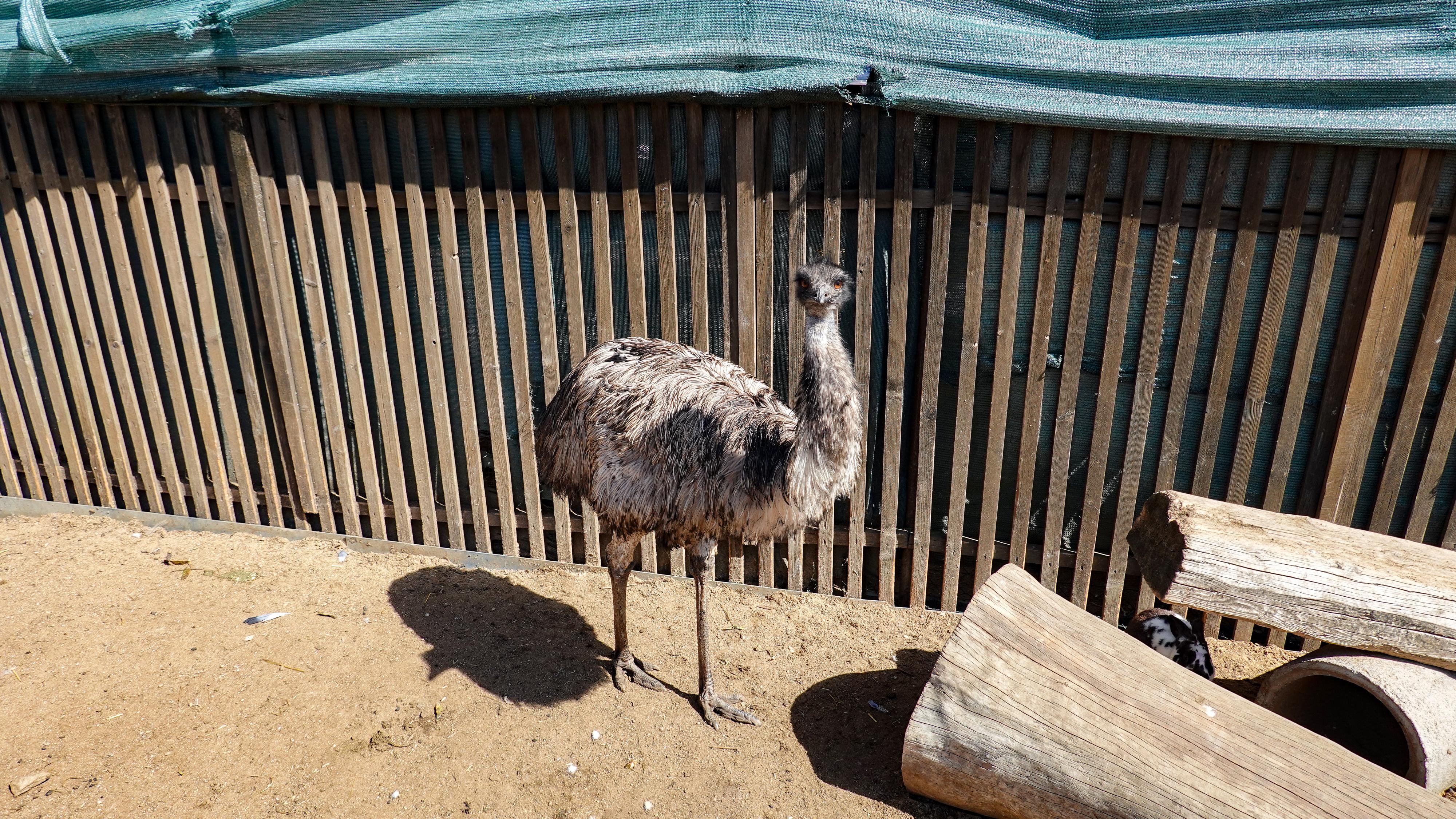 Rodinný Zookoutek Nová Říše z.s. foto 2