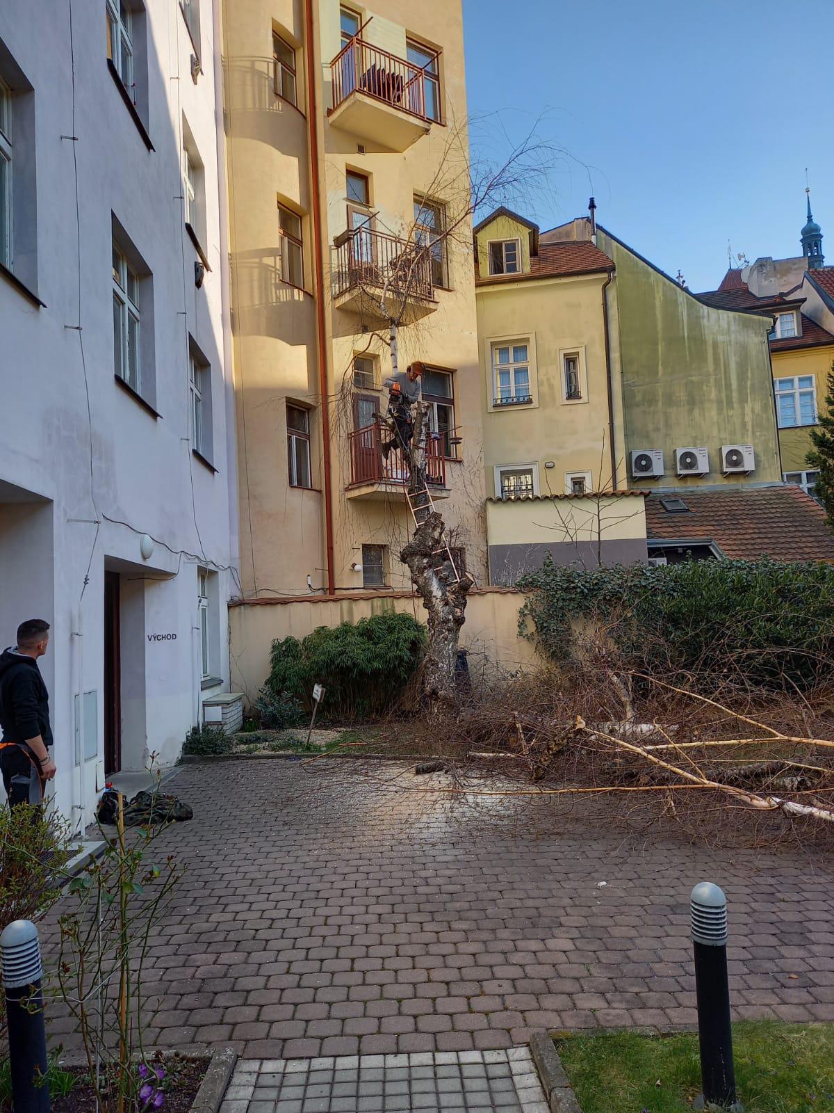 Údržba zeleně Růžička, s.r.o. foto 6