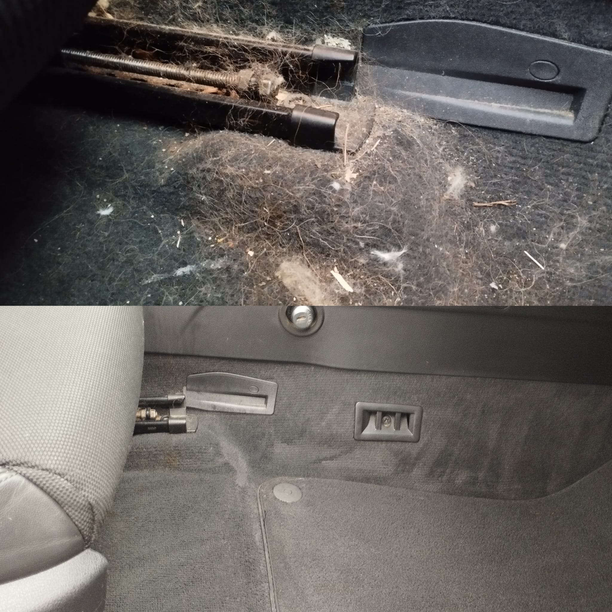 BuldockGarage - čištění interiéru a exteriéru vozů foto 1