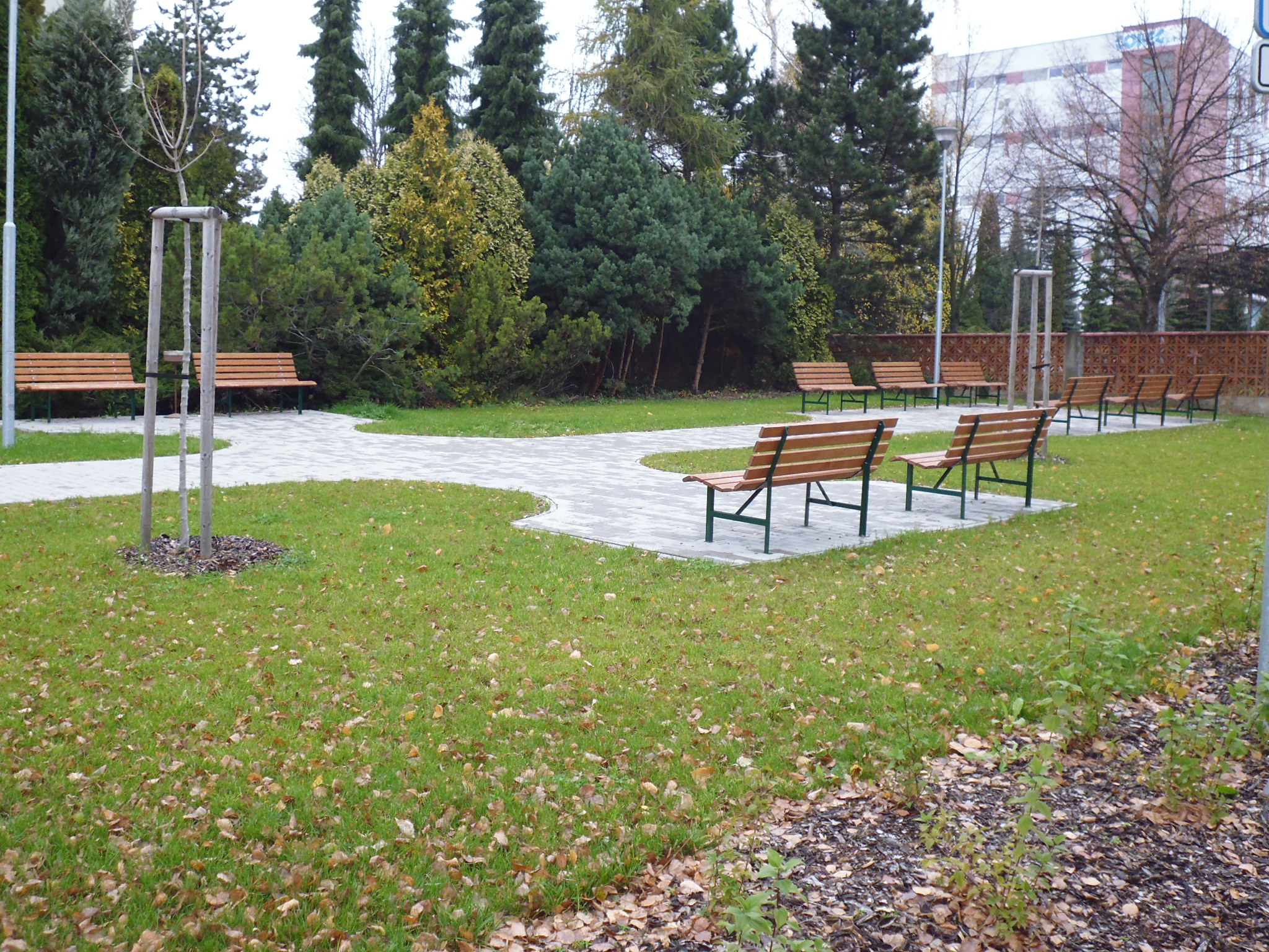 Domov se zvláštním režimem Loučka foto 2