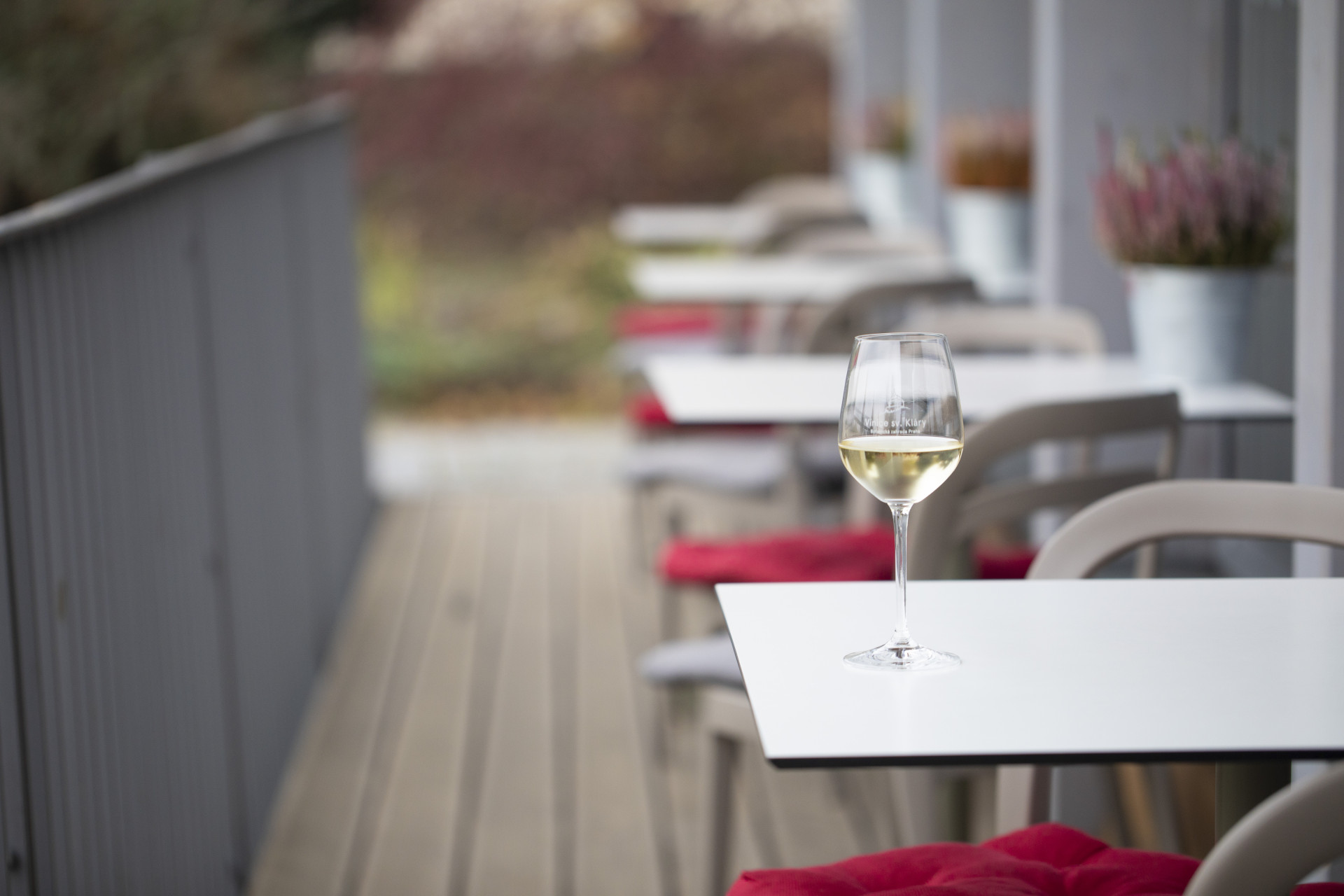 Café Ornament - Botanická zahrada Praha foto 4