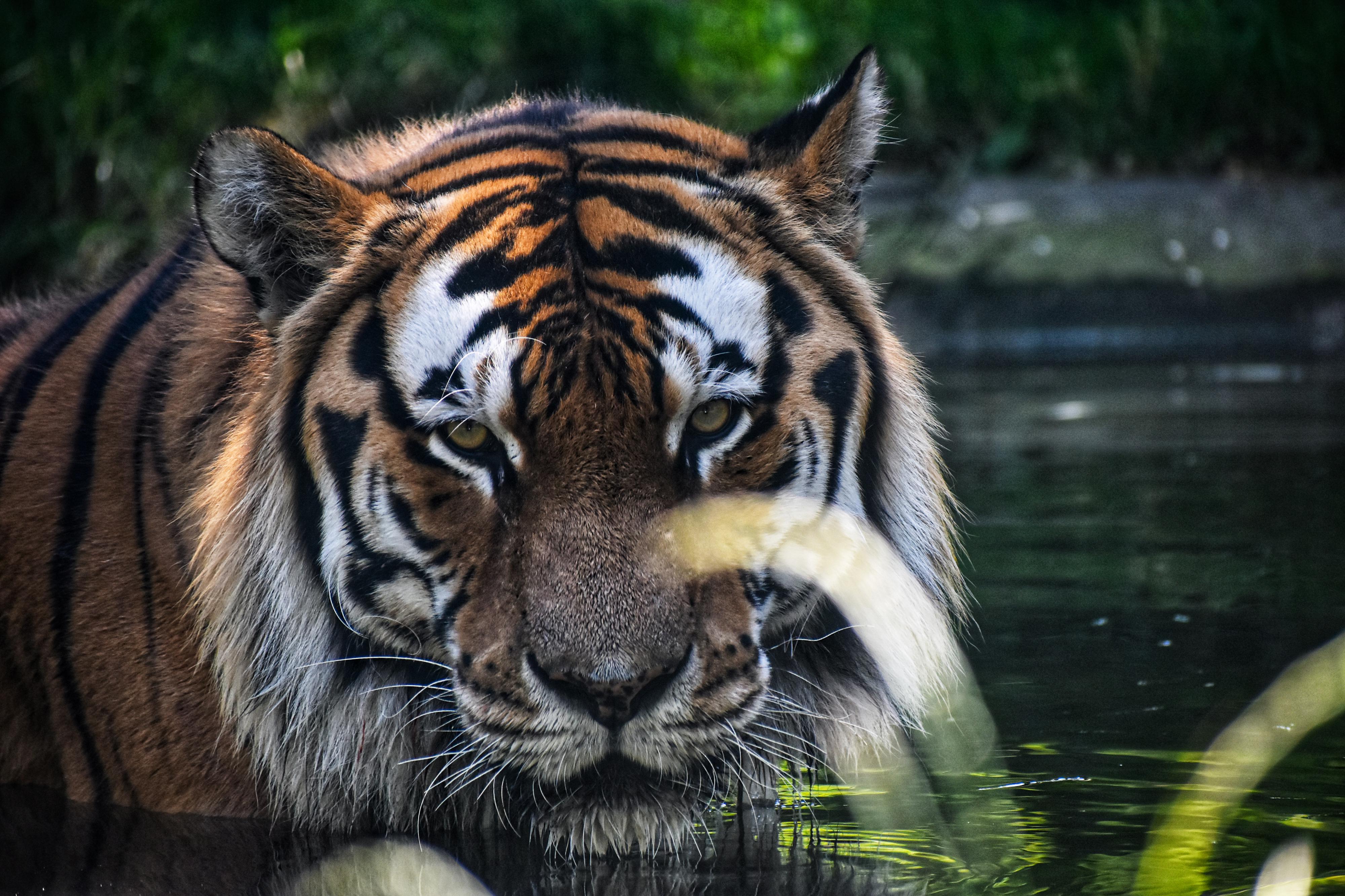 Zoologická zahrada Hodonín foto 5