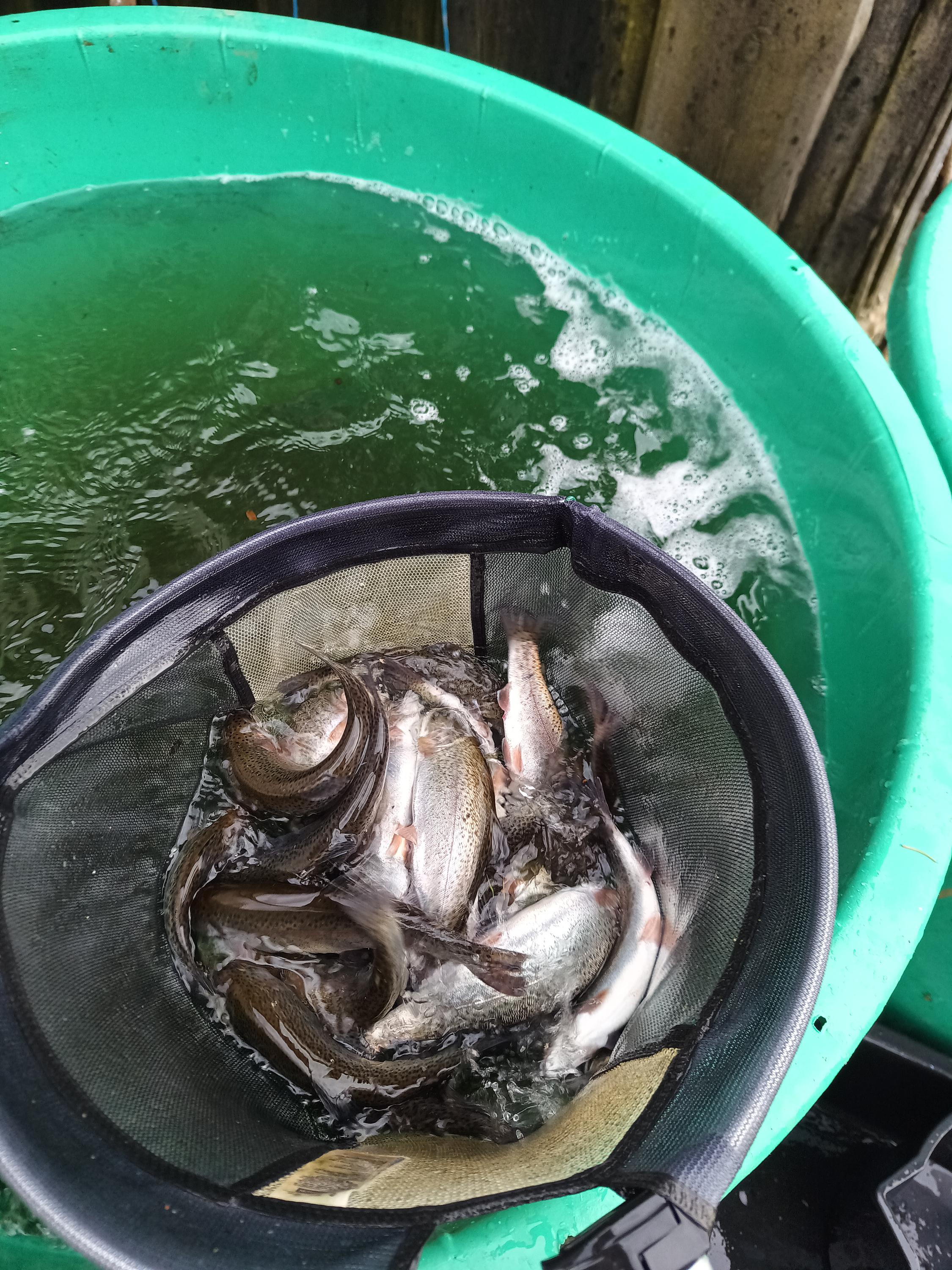 Pstruhařství Kunkovice - Vlastimil Pikálek foto 4