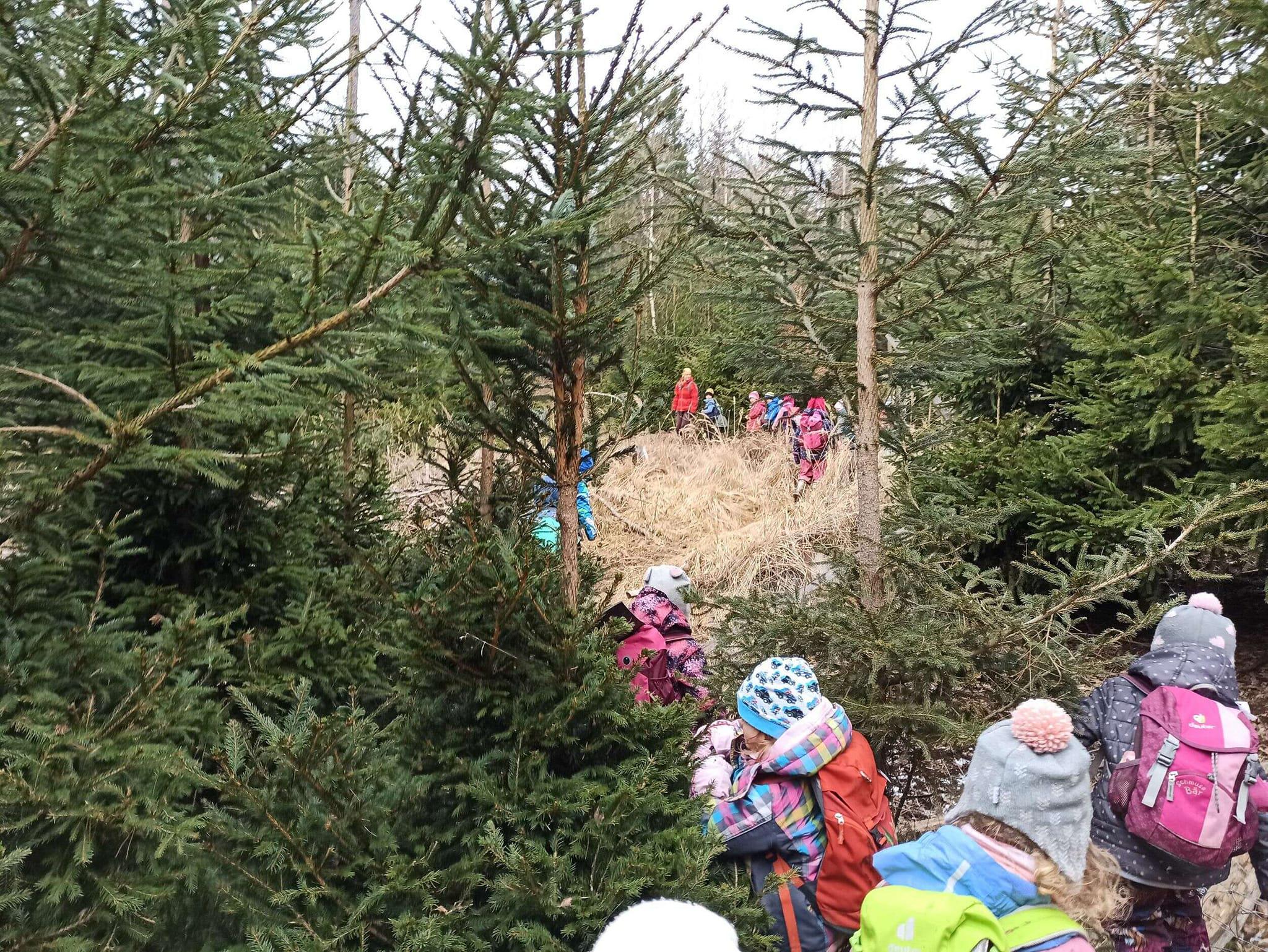 Lesní klub Sedmikvítek foto 3