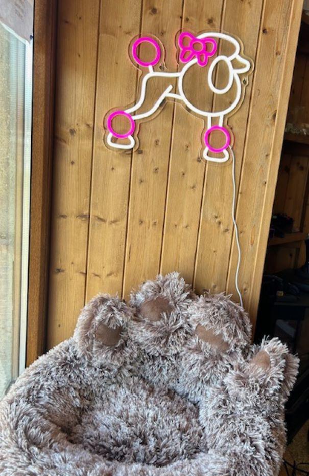 Psí salon Rájec-Jestřebí foto 6