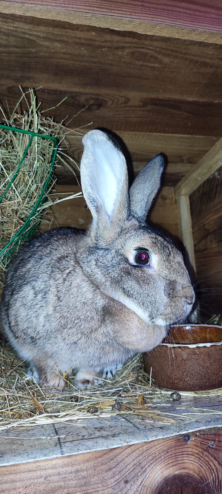 Malá Farma Spálensko - Bratrouchov foto 2