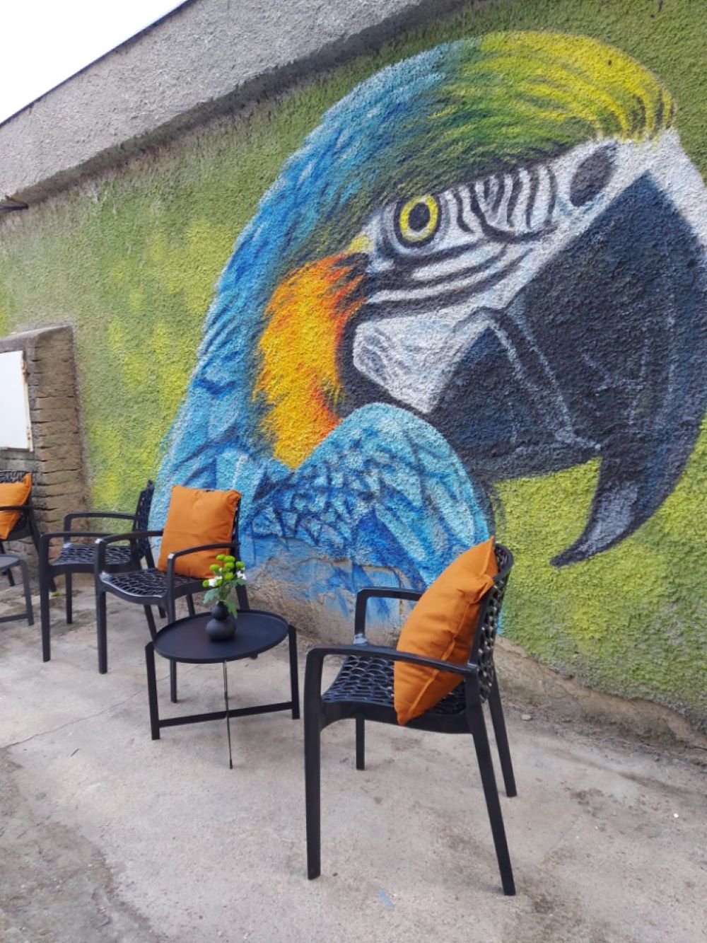Konkáva foto 6