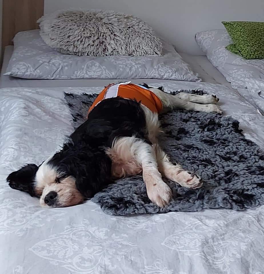 MONTY invalidní vozíky foto 1