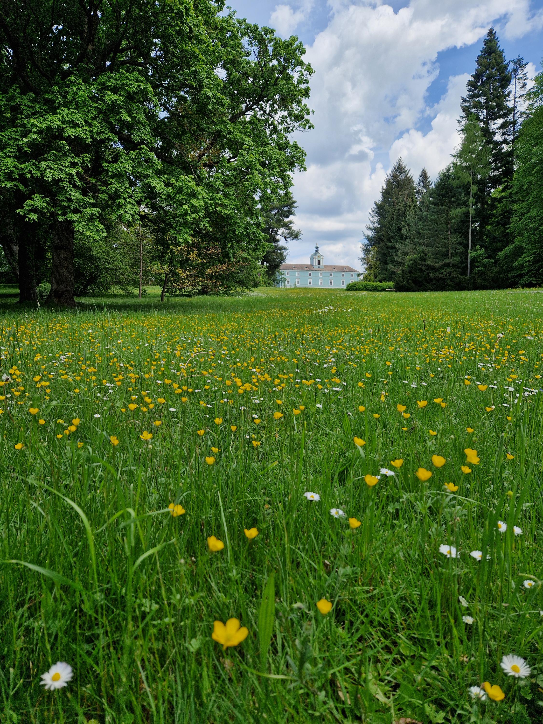 Státní zámek Dačice foto 5