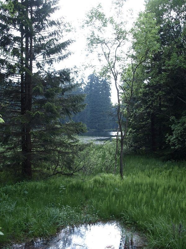 Sportovní areál Eduard foto 2