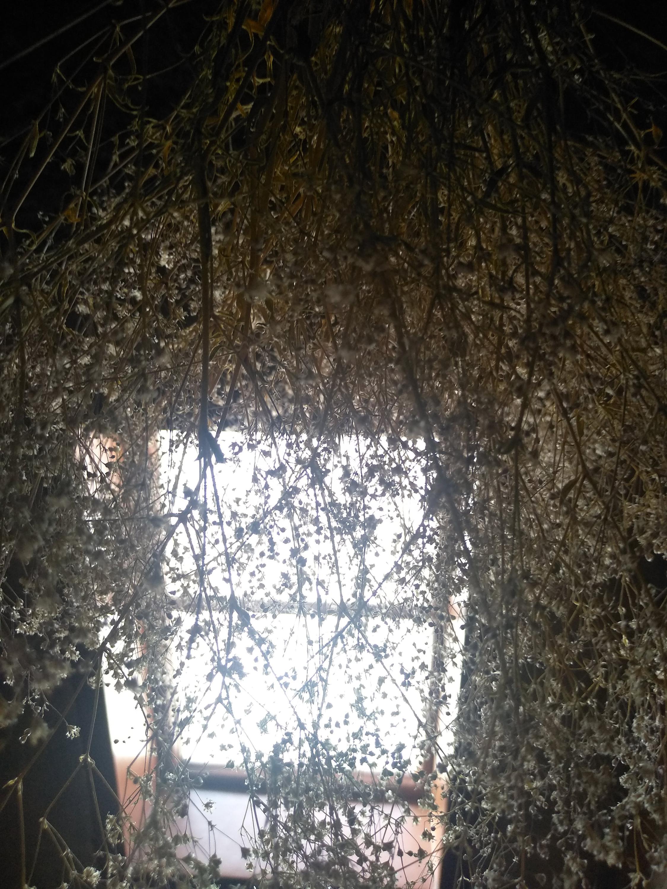 Museum Fotoateliér Seidel foto 6