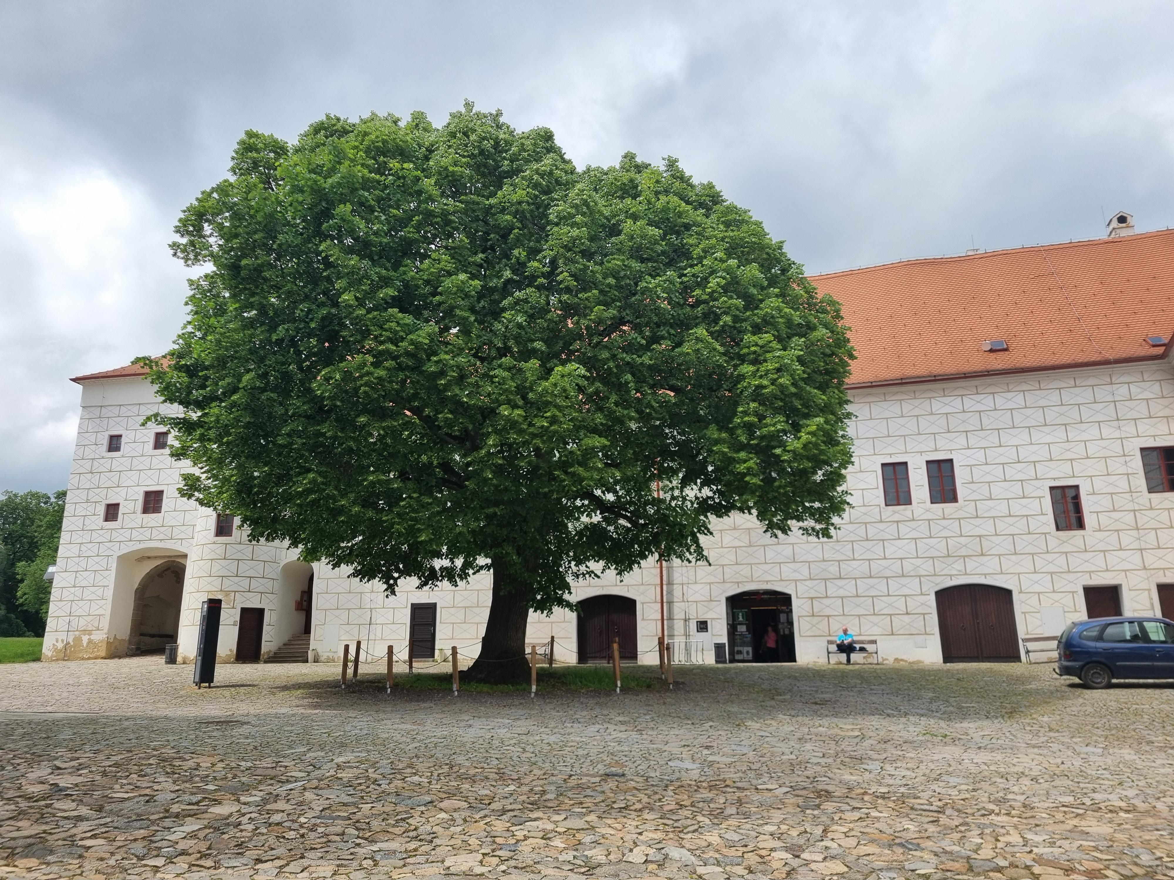 Informační a turistické centrum Bazilika foto 4